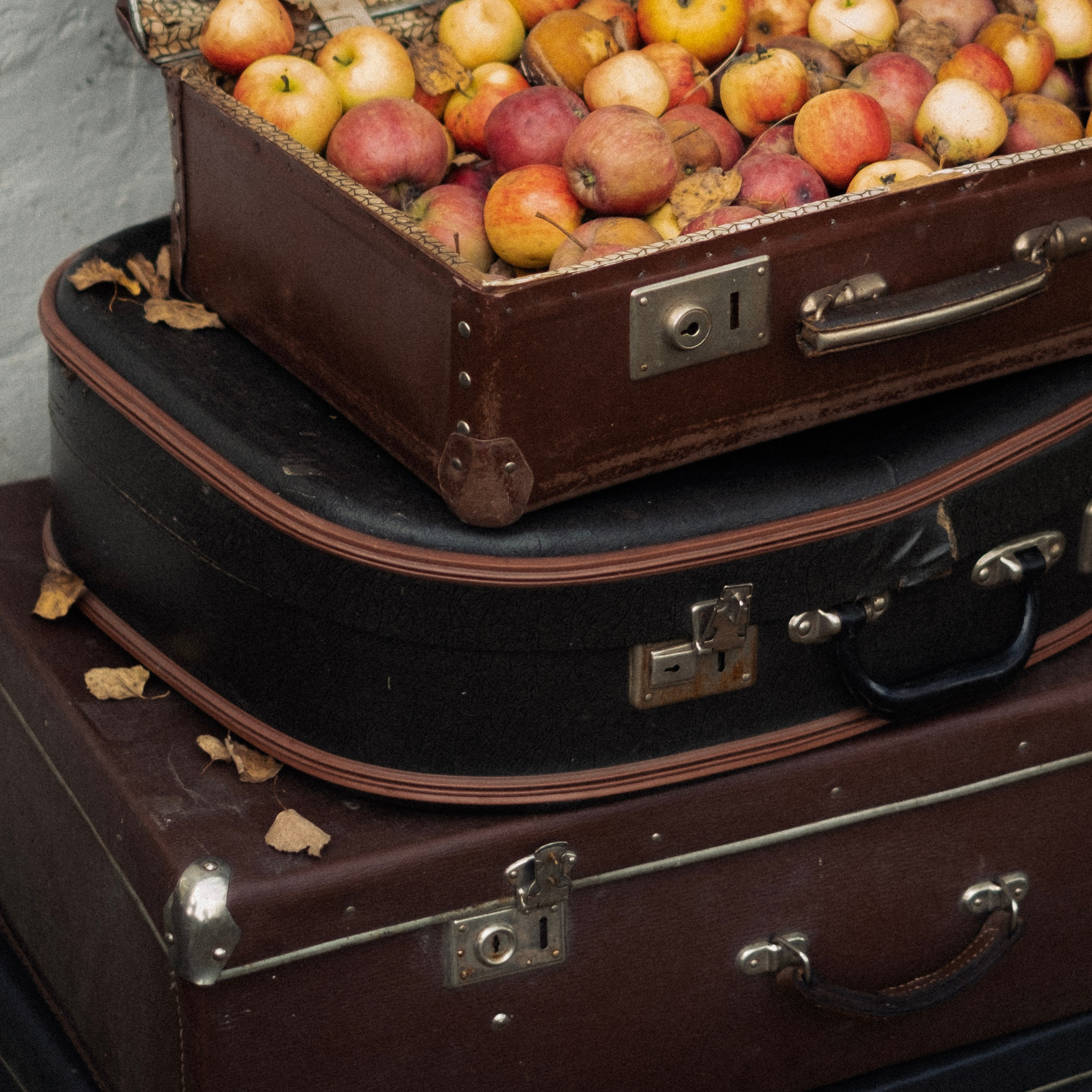 Первая осень. Anastasia N | Фотограф Челябинск