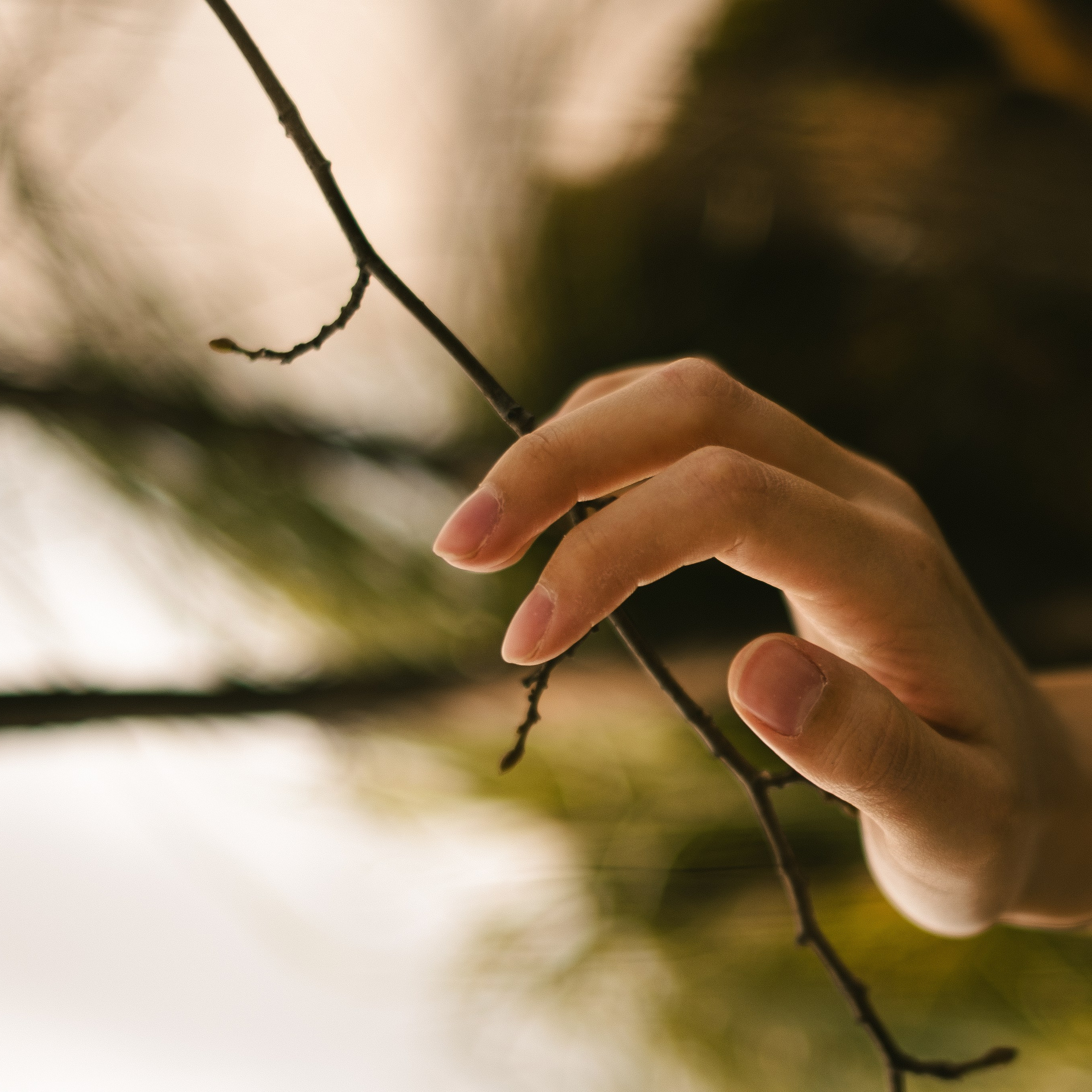 SVETA. Anastasia N | Фотограф Челябинск