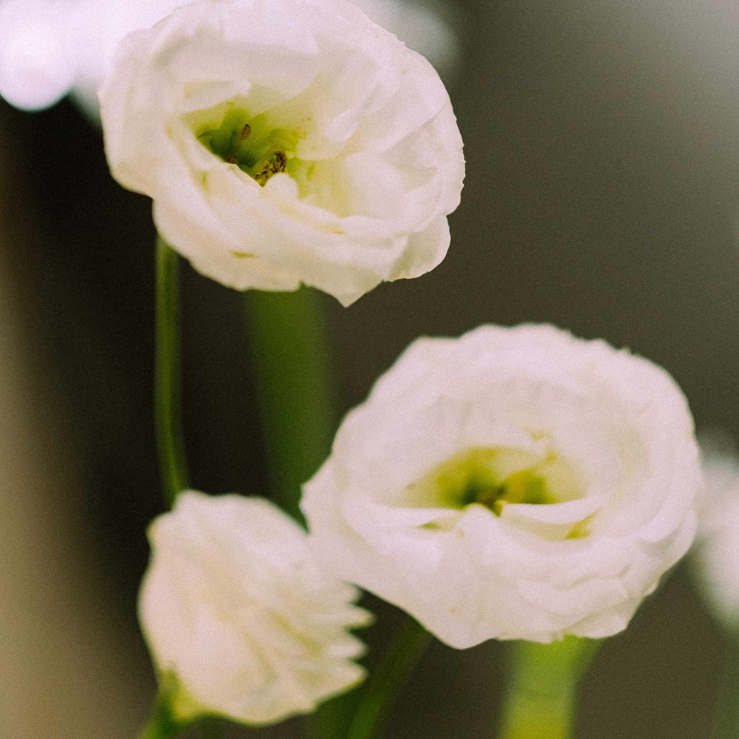 С одной парты — в одну жизнь. Anastasia N | Фотограф Челябинск