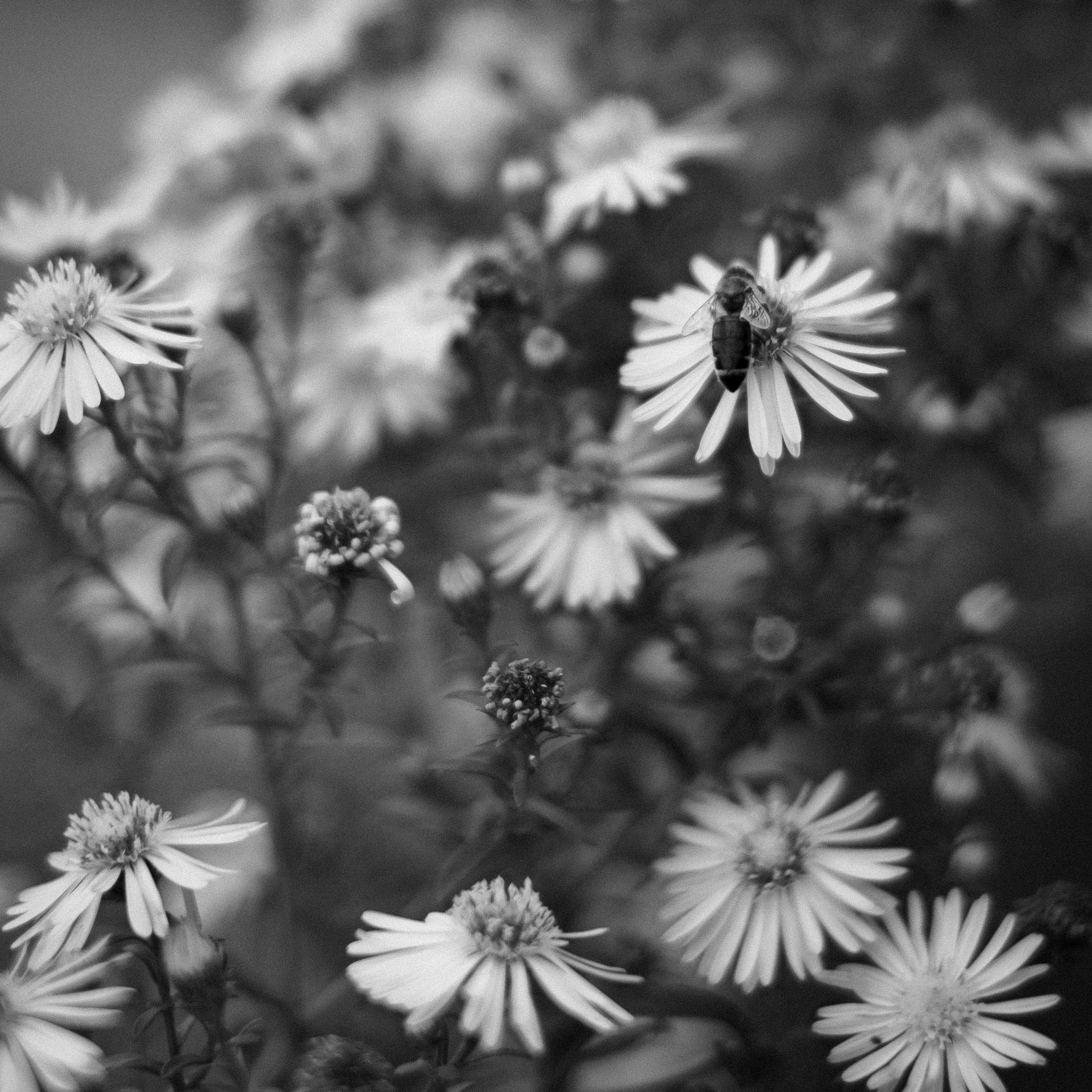 Первая осень. Anastasia N | Фотограф Челябинск