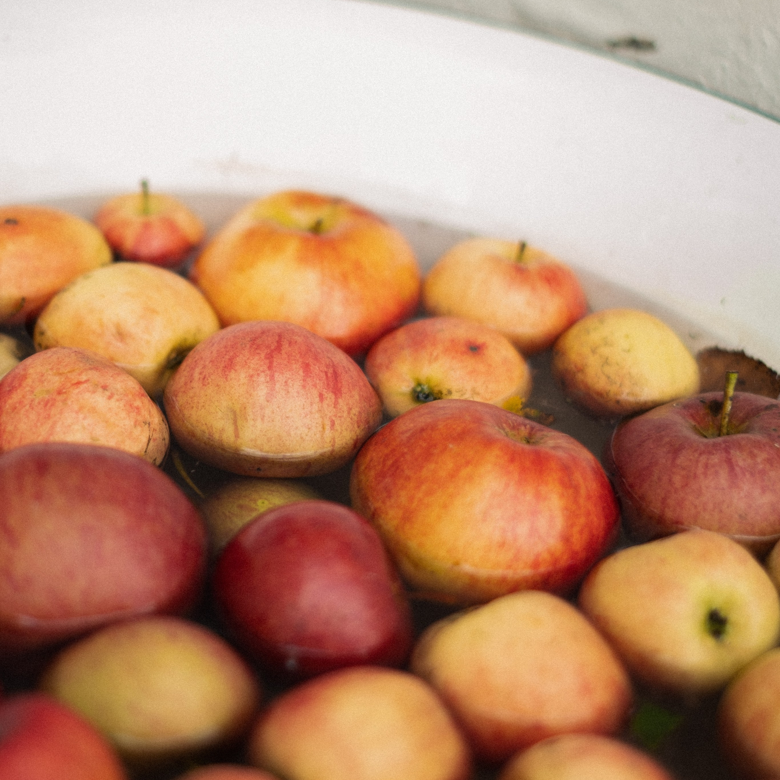 Первая осень. Anastasia N | Фотограф Челябинск