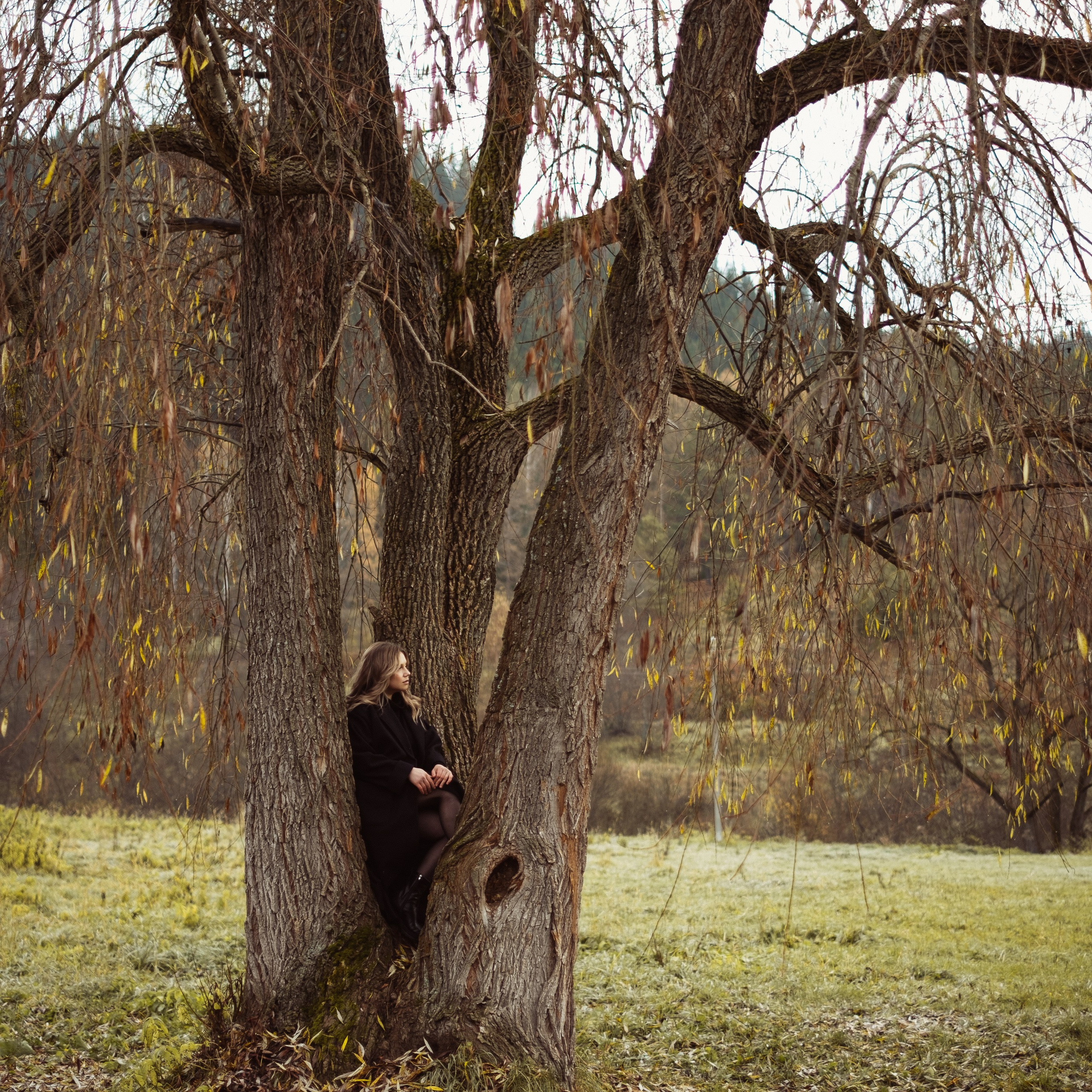 Dasha. Anastasia N | Фотограф Челябинск