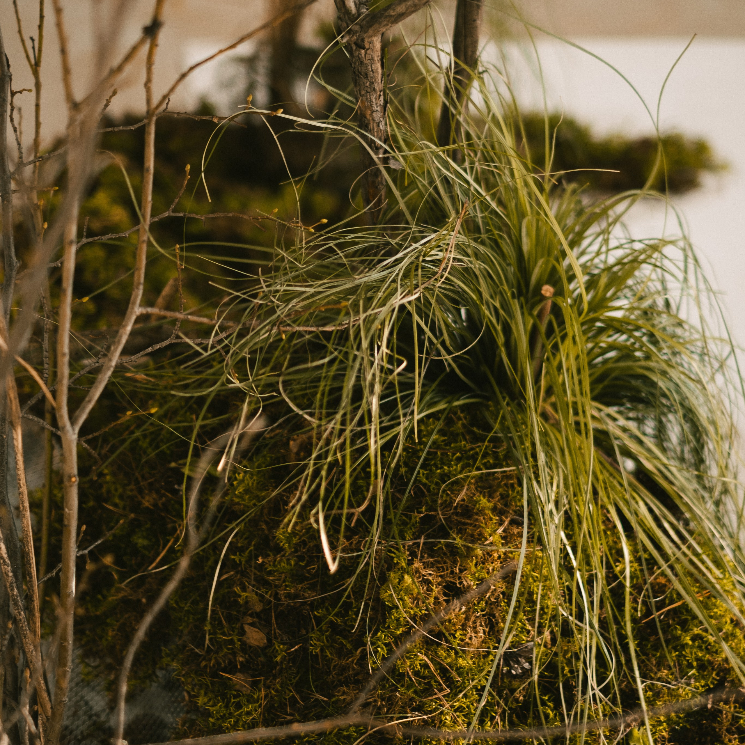 SVETA. Anastasia N | Фотограф Челябинск