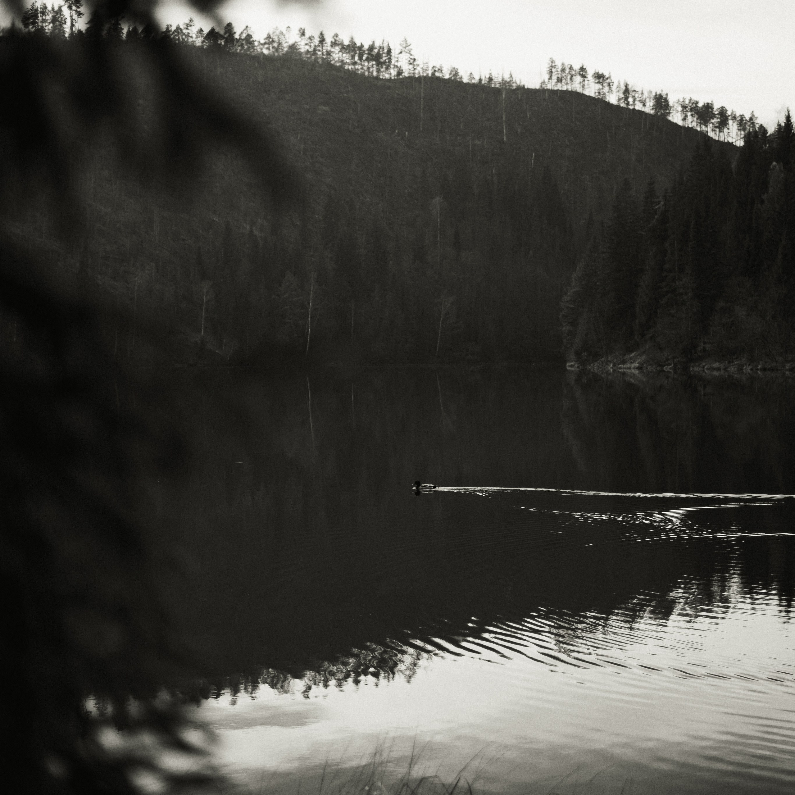 Dasha. Anastasia N | Фотограф Челябинск