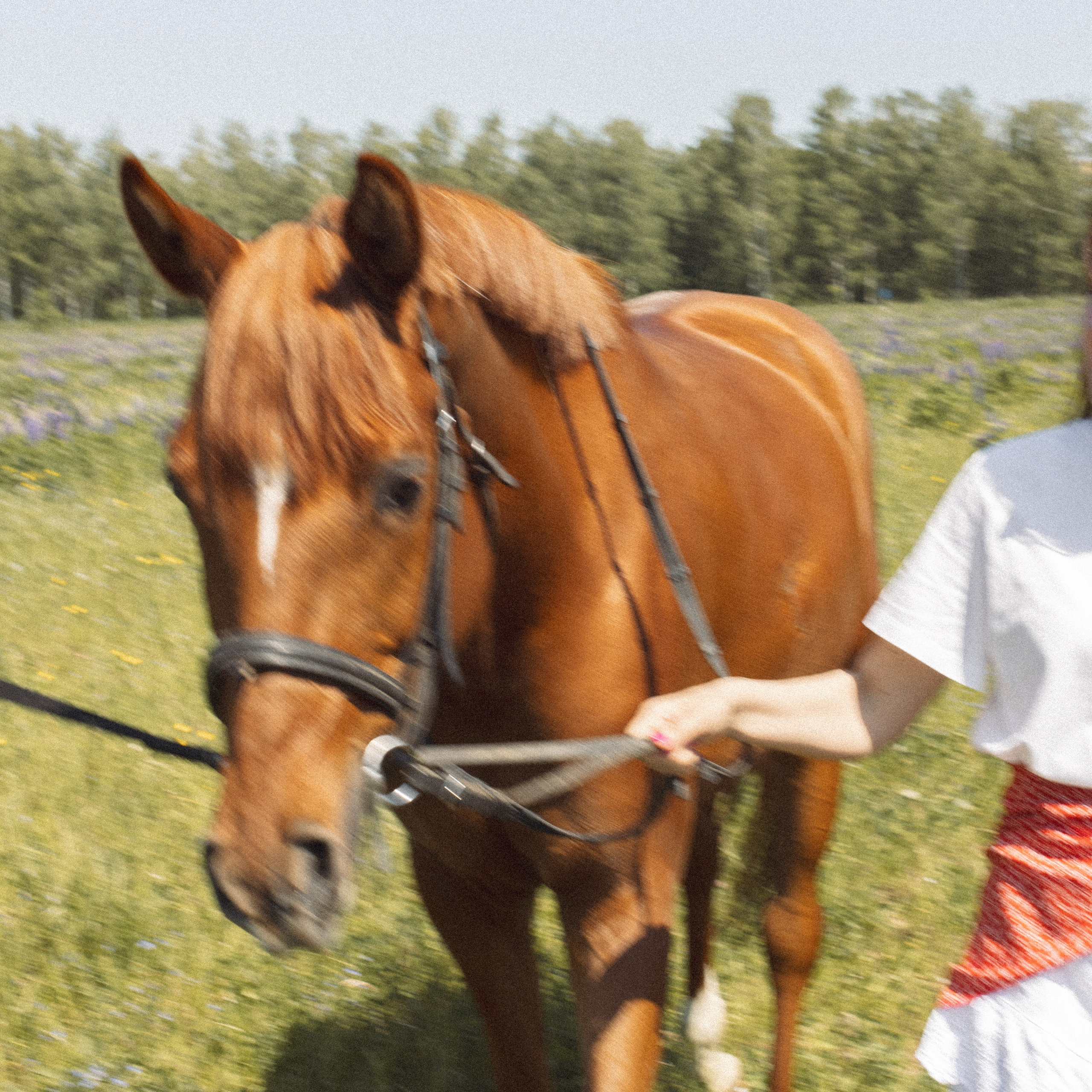 Истории. Фотограф Евгения Счастливая, Нижний Новгород, Москва