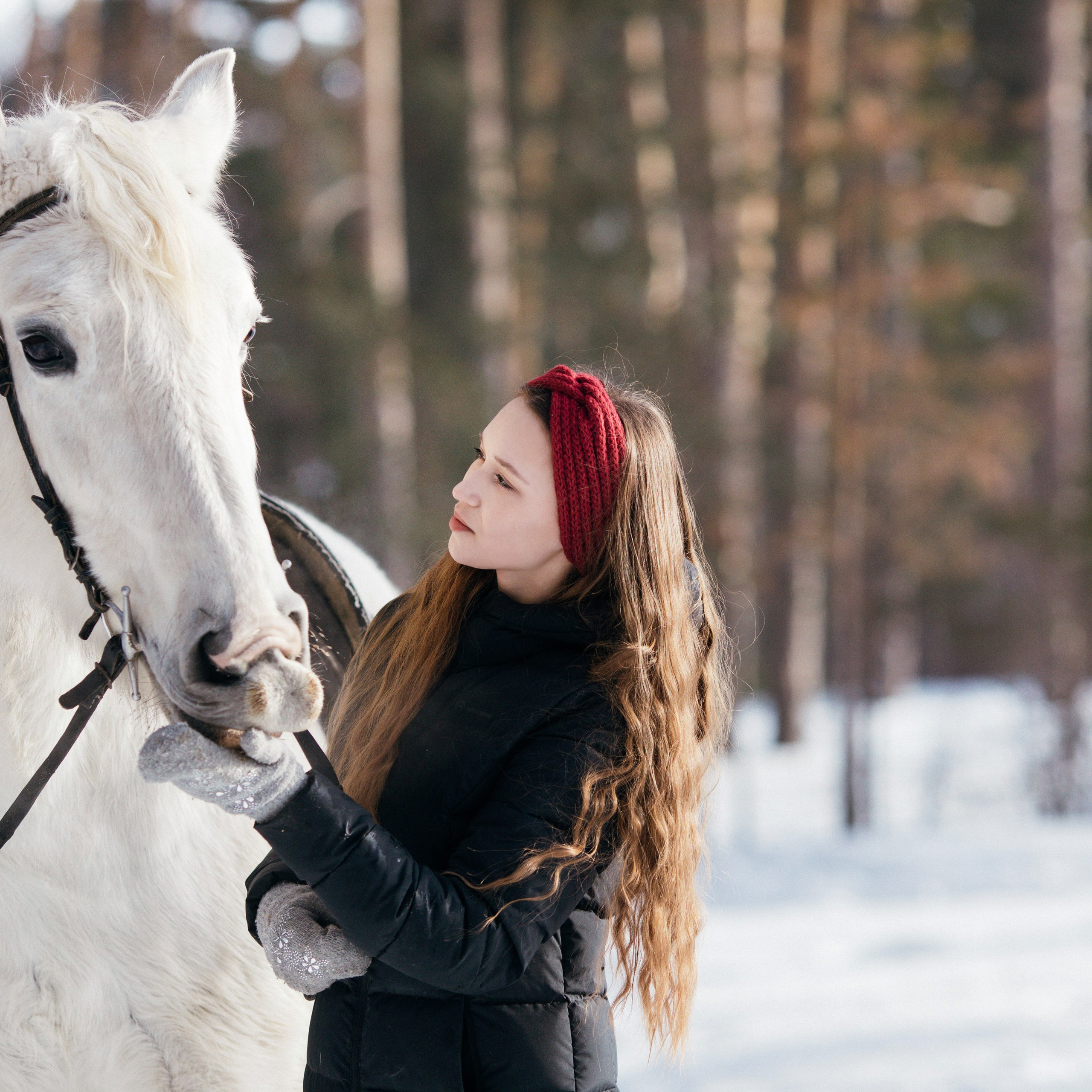Отзывы. Конный фотограф в Челябинске Стромова Ольга
