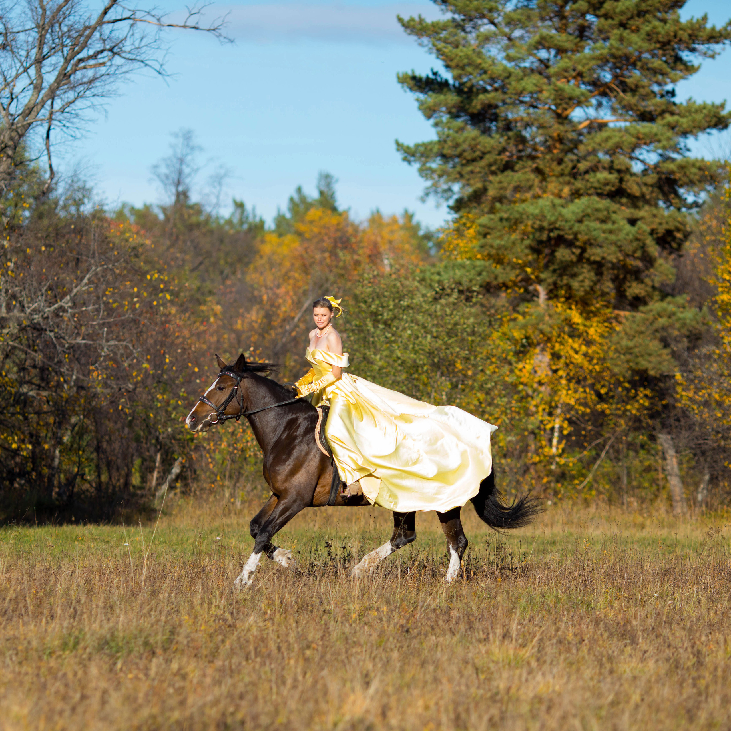 Отзывы. Конный фотограф в Челябинске Стромова Ольга