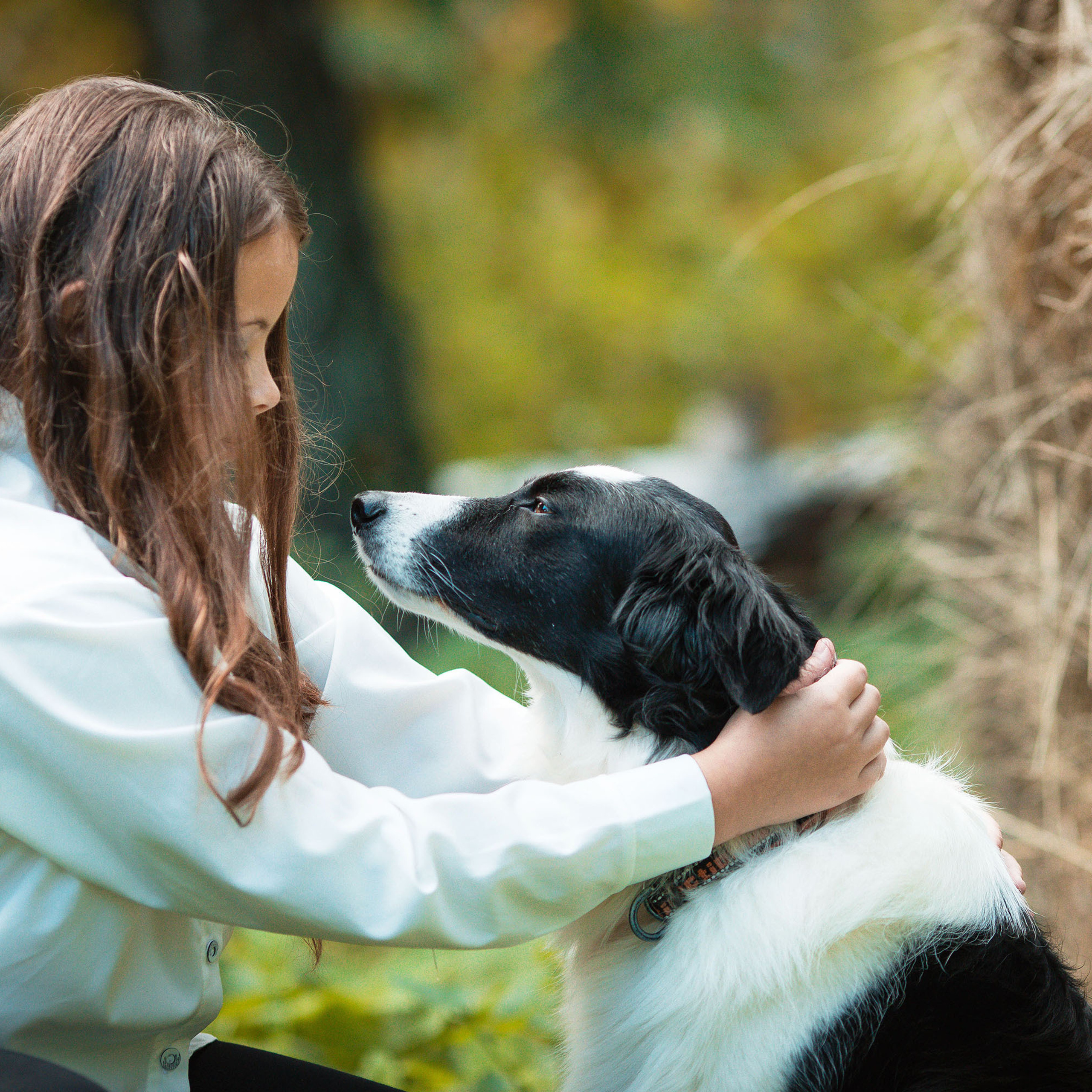 Отзывы. Конный фотограф в Челябинске Стромова Ольга