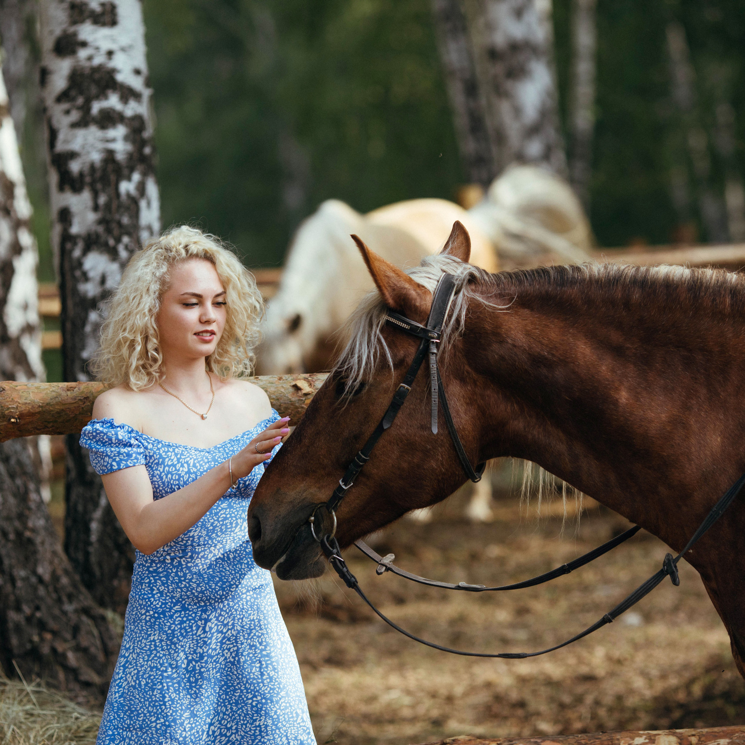 Отзывы. Конный фотограф в Челябинске Стромова Ольга