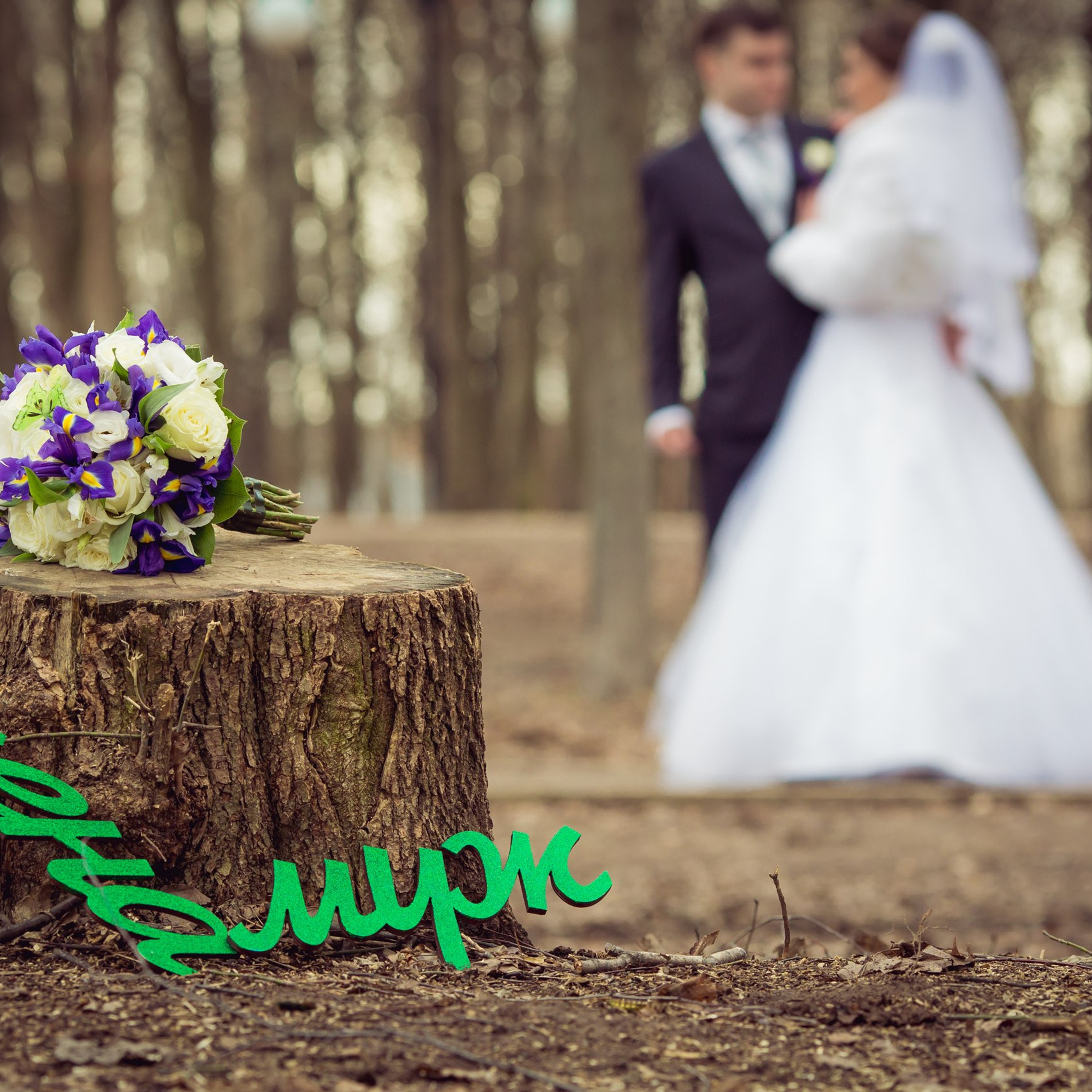 Отзывы. Свадебный и семейный фотограф Игорь Елагин