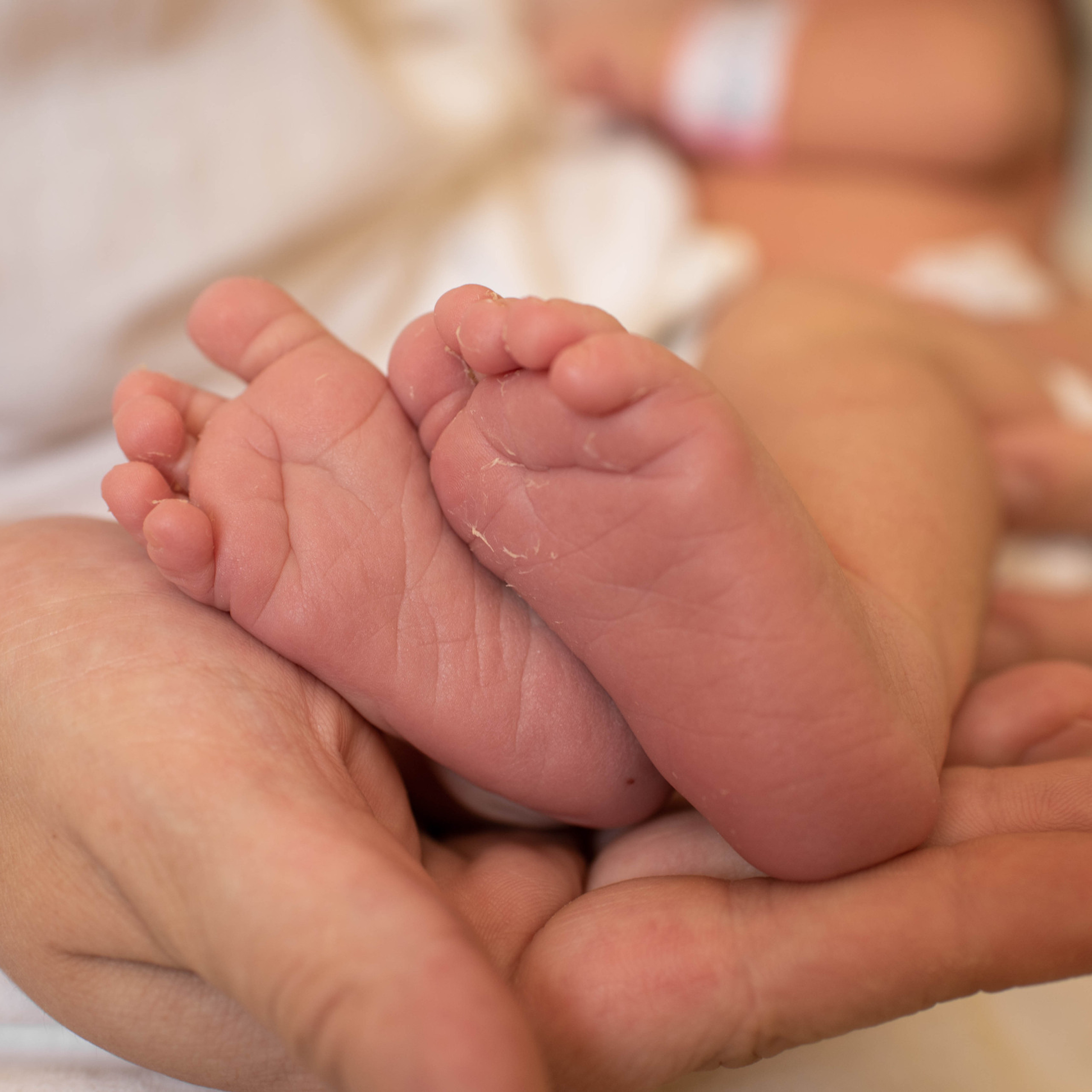 Отзывы. Фотограф на Крещение и Венчание в Туле, детский и семейный фотограф