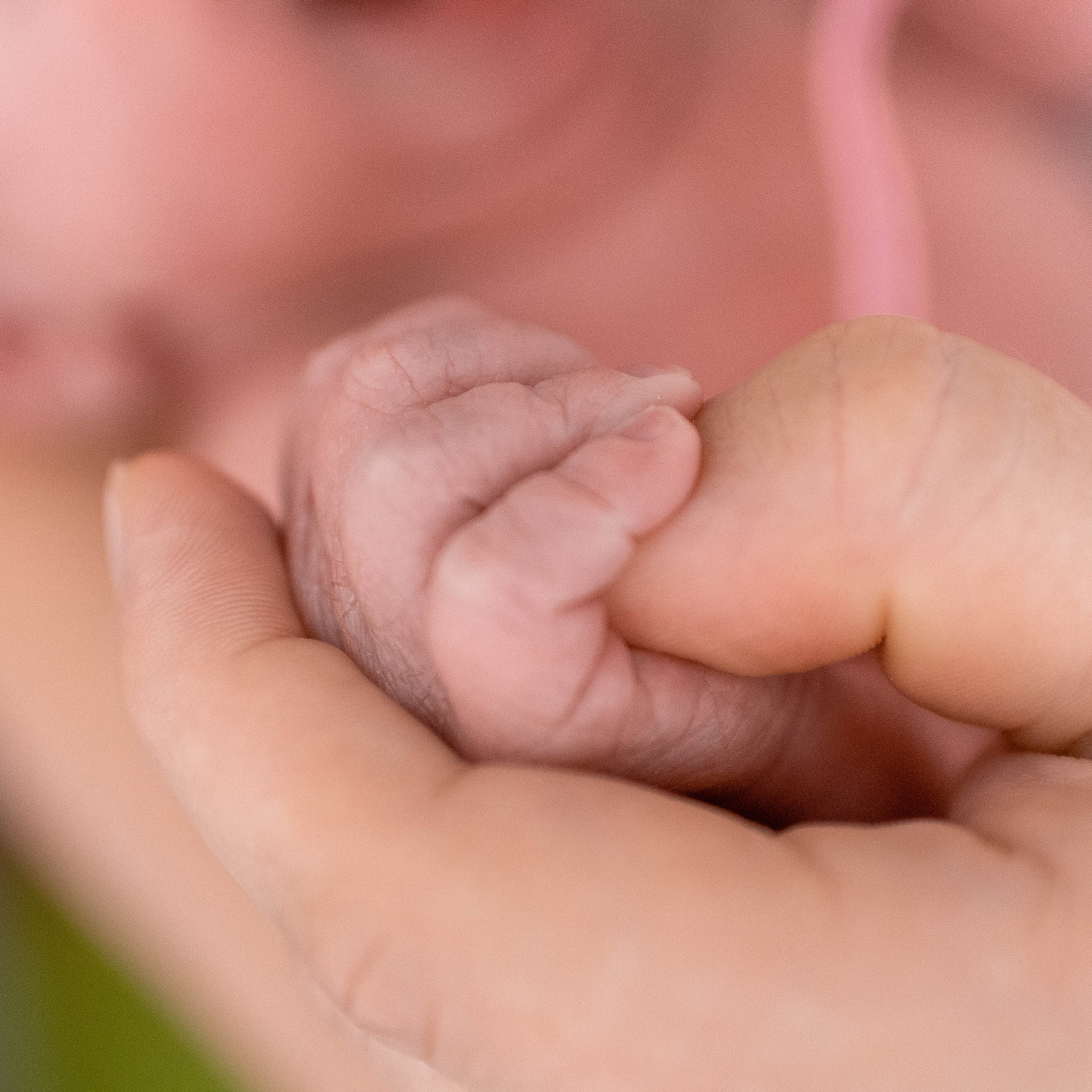 Отзывы. Фотограф на Крещение и Венчание в Туле, детский и семейный фотограф