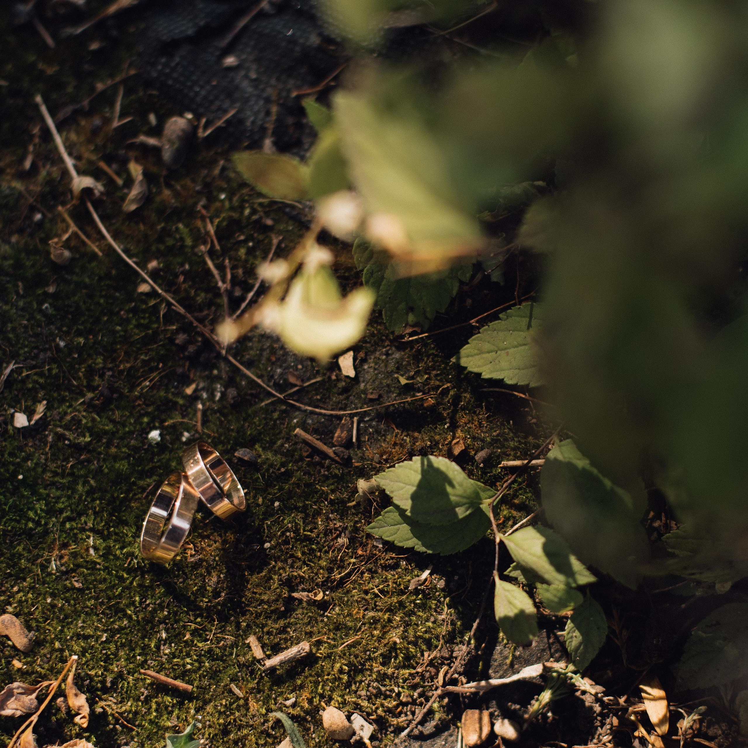 Отзывы. Фотограф Алексей Сироткин Тольятти Самара