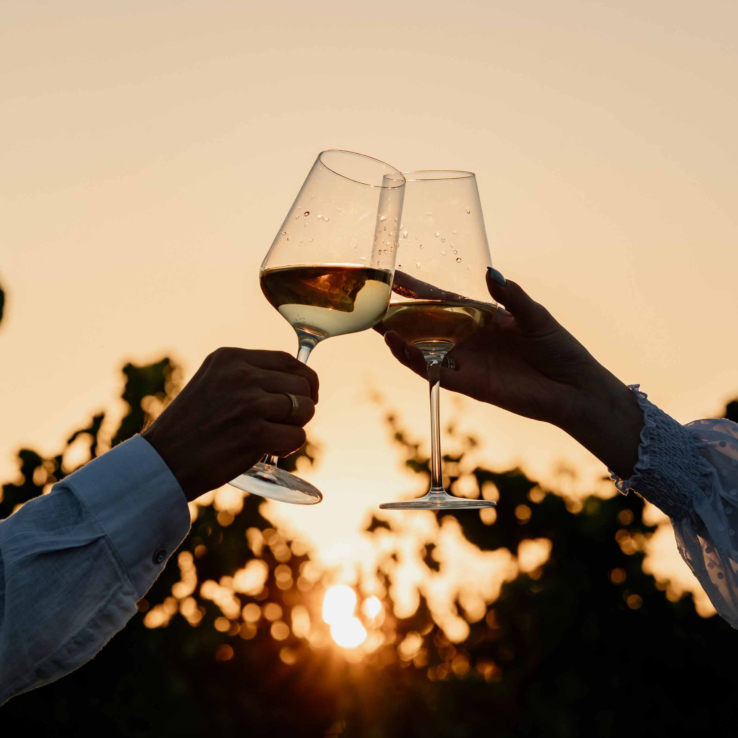 Диана и Дмитрий