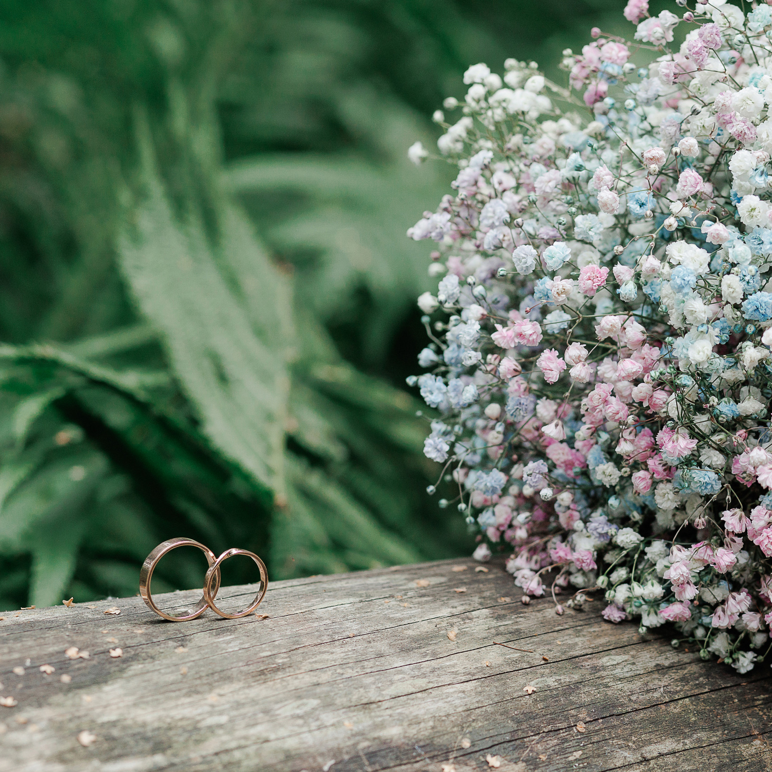 Отзывы о фотографе Малькова Анастасия. Свадебный и семейный фотограф в Твери и Тверской области