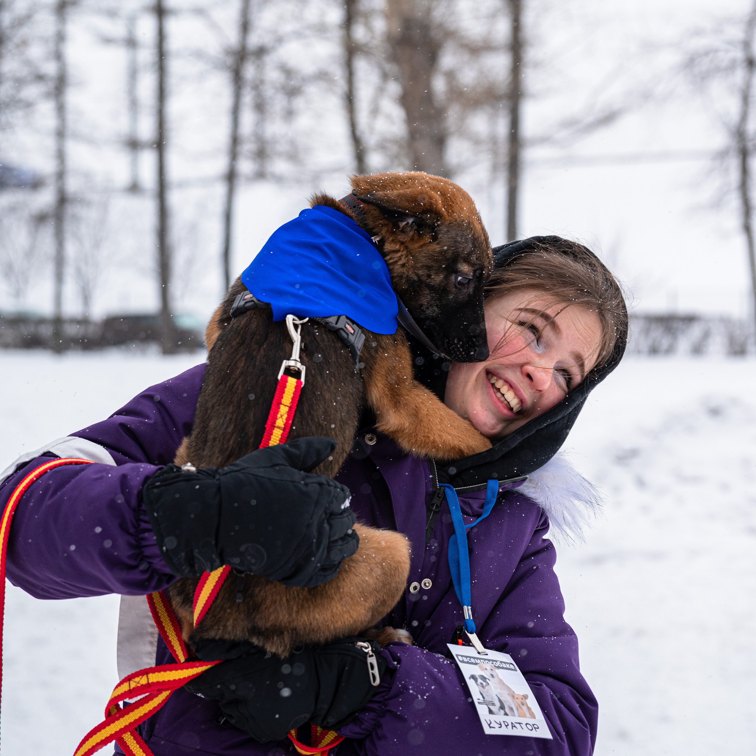 Всем по собаке