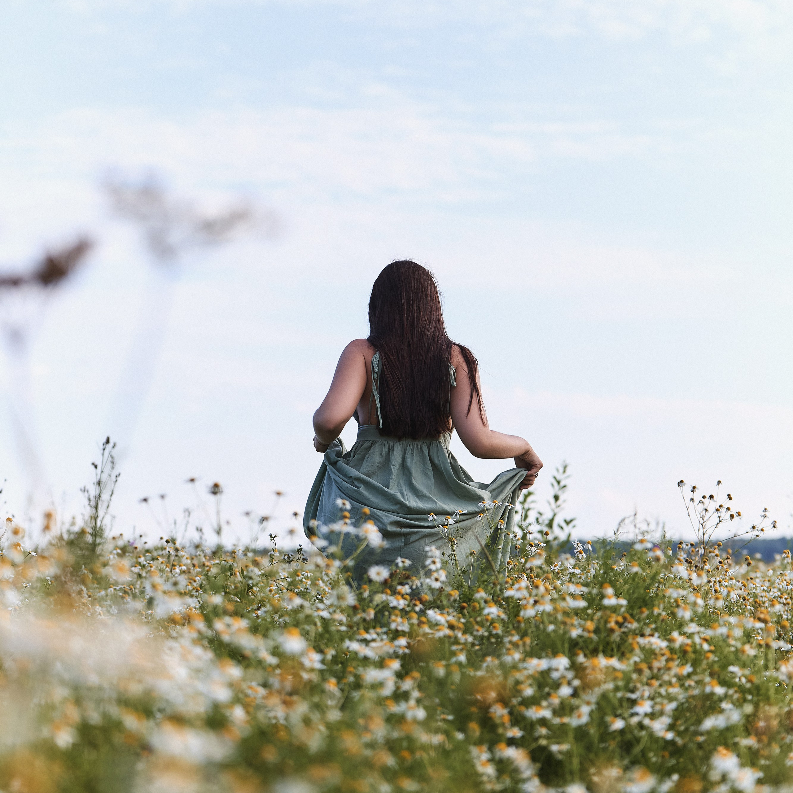 Настя, ромашковое поле