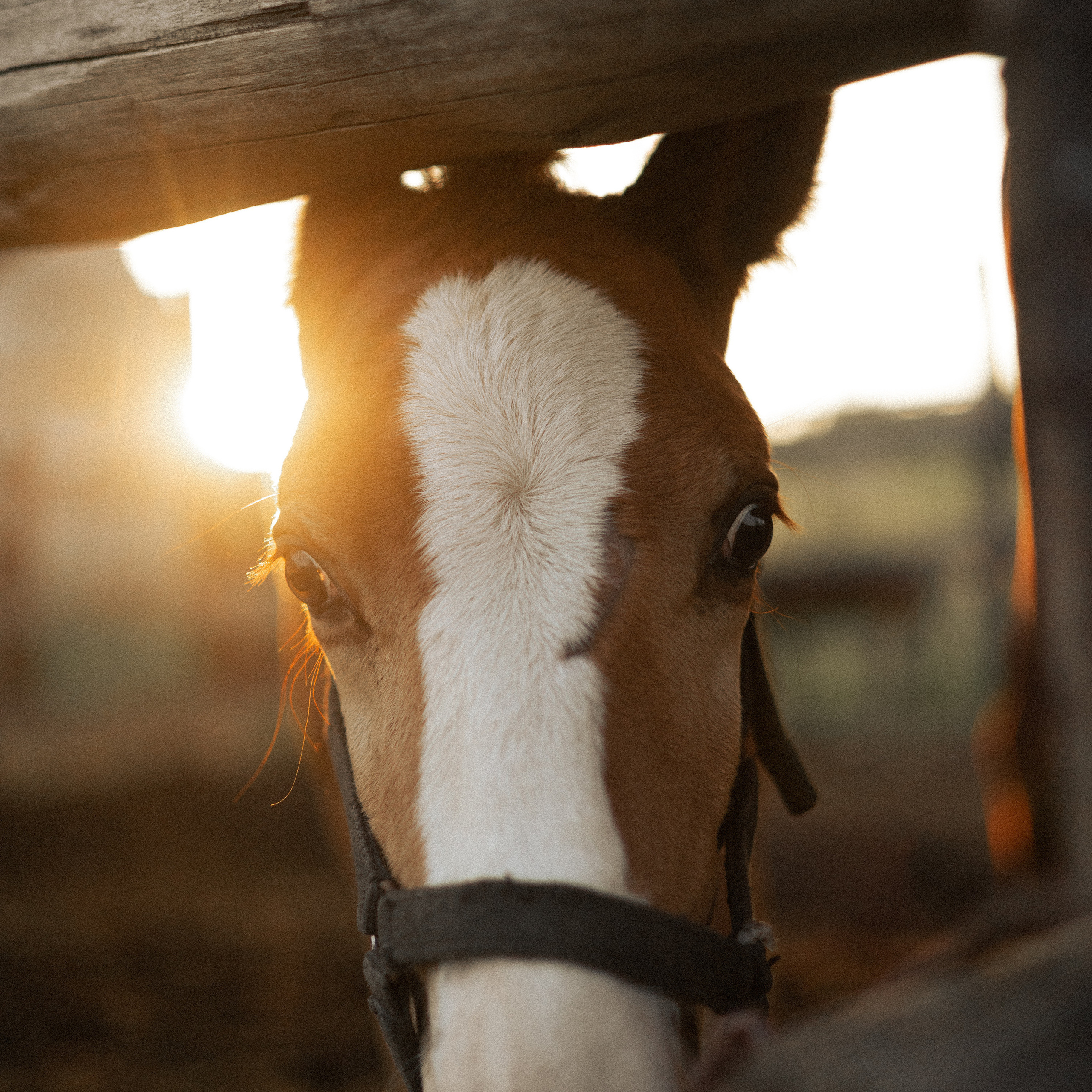 Отзывы. Свадебный и семейный фотограф Волгоград Наталья Алексеева