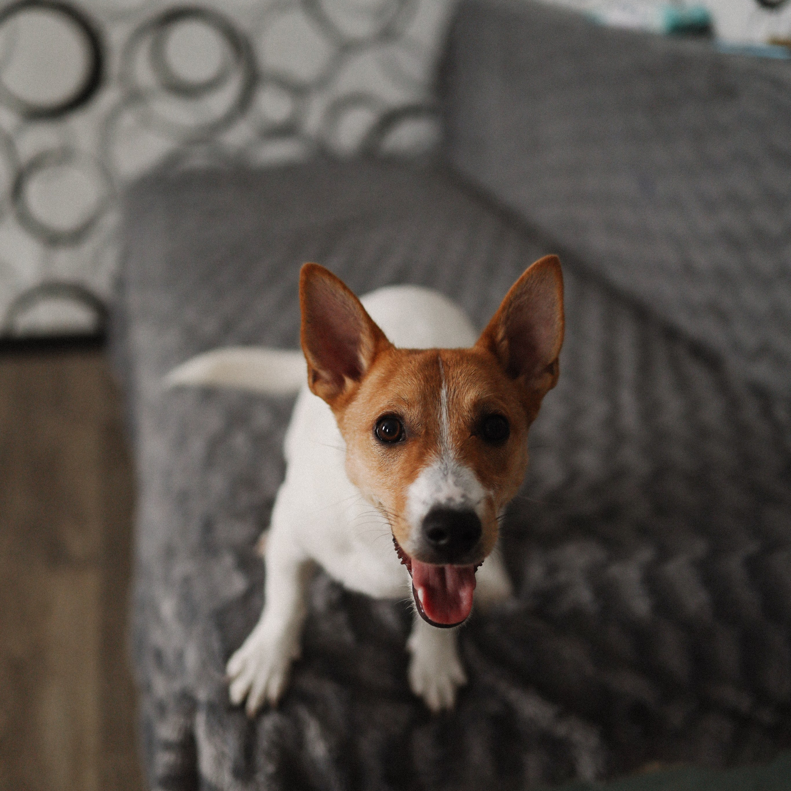 Отзывы. Свадебный и семейный фотограф Волгоград Наталья Алексеева