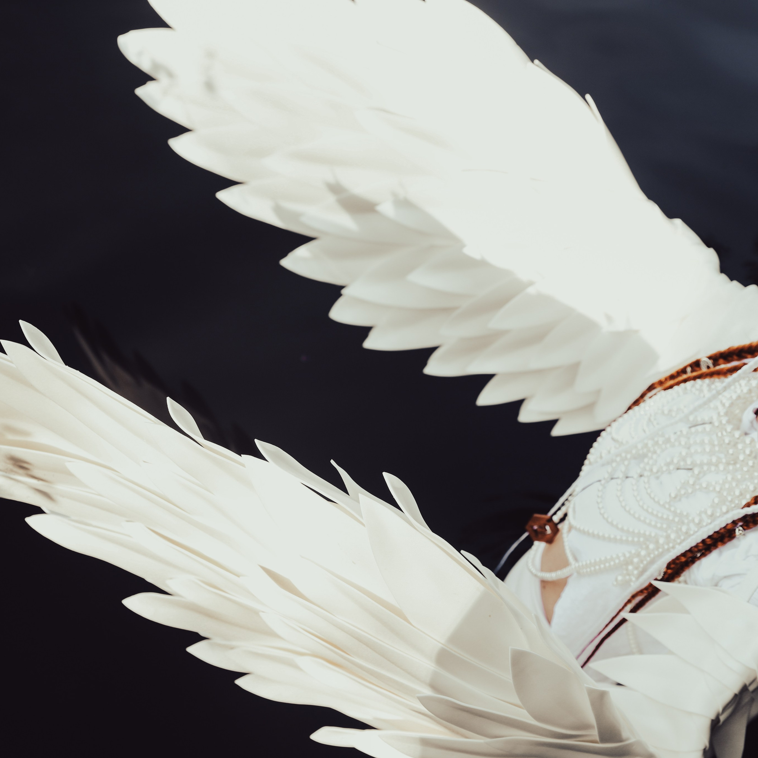 Фестиваль Жива