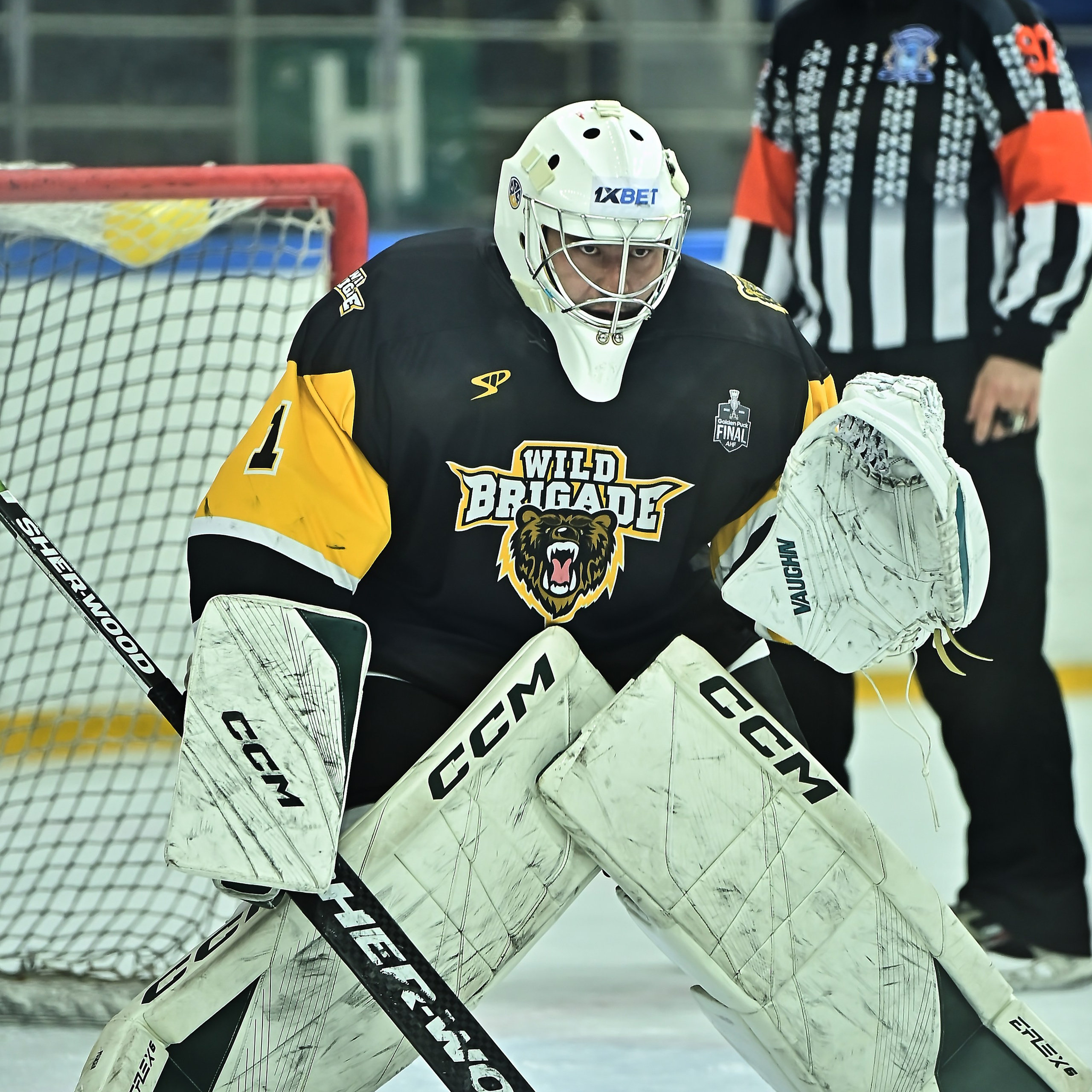 Хоккей Golden Puck 2025-2026