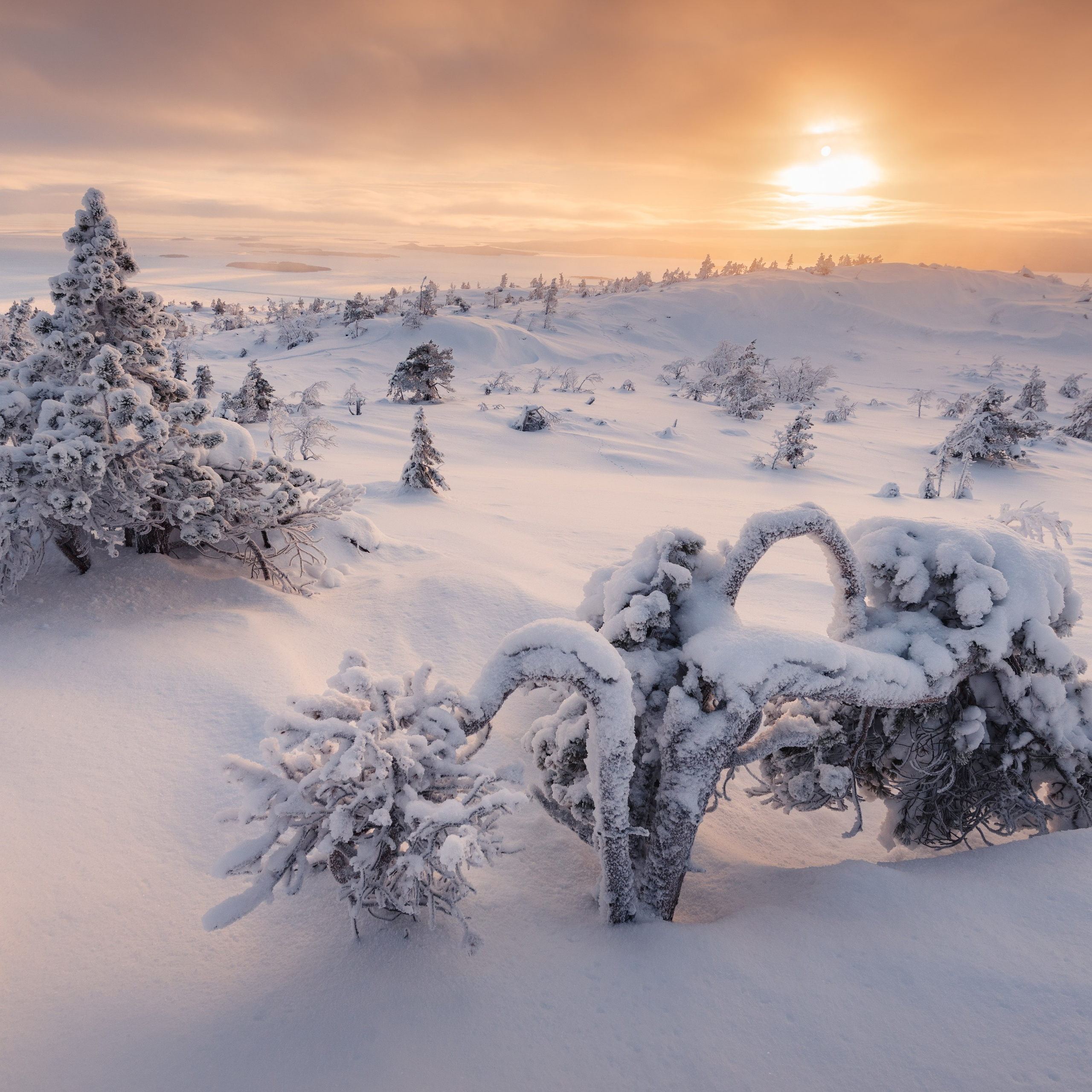 Зимние пресеты. Пейзажный и тревел-фотограф Алексей Соколенко