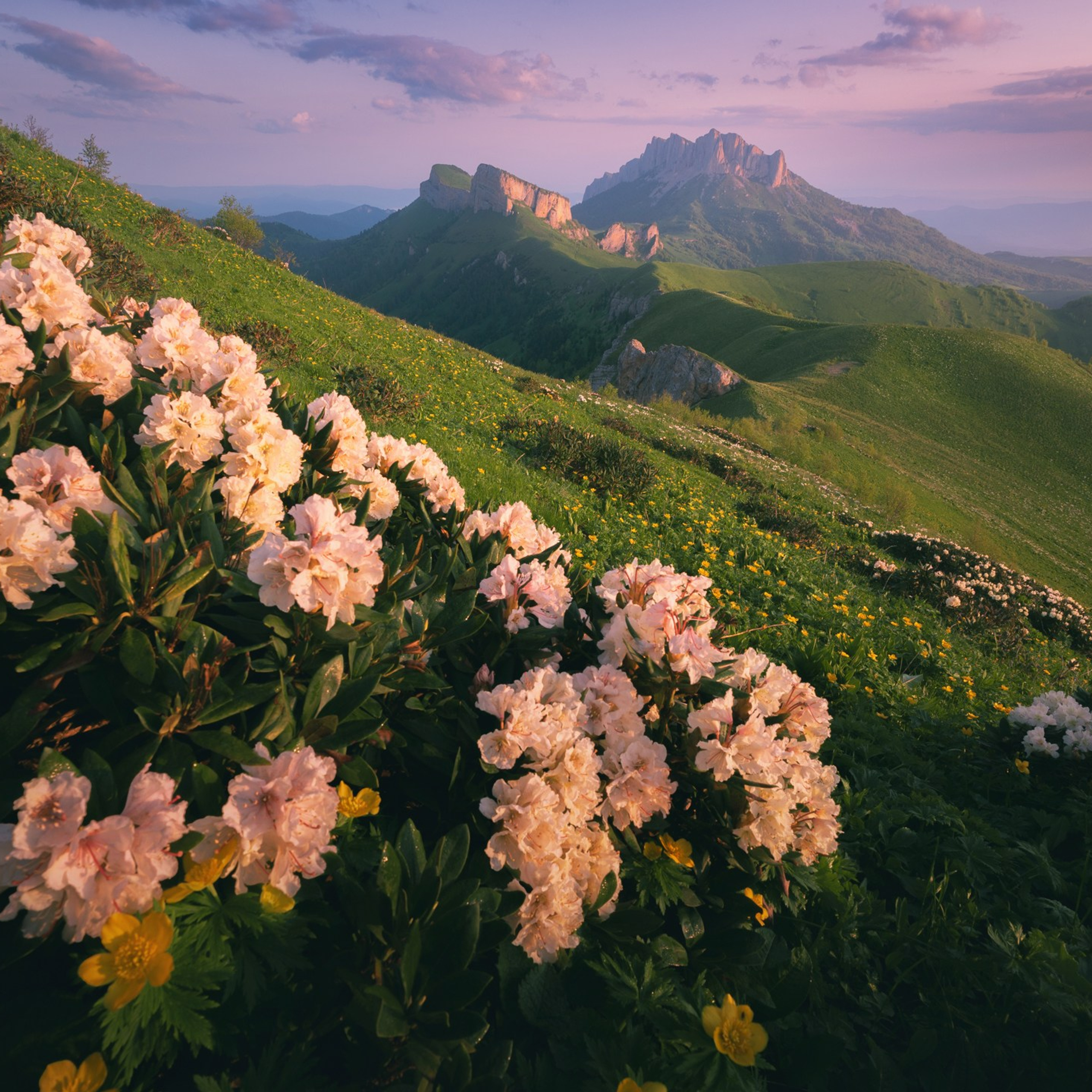 Летние пресеты. Пейзажный и тревел-фотограф Алексей Соколенко