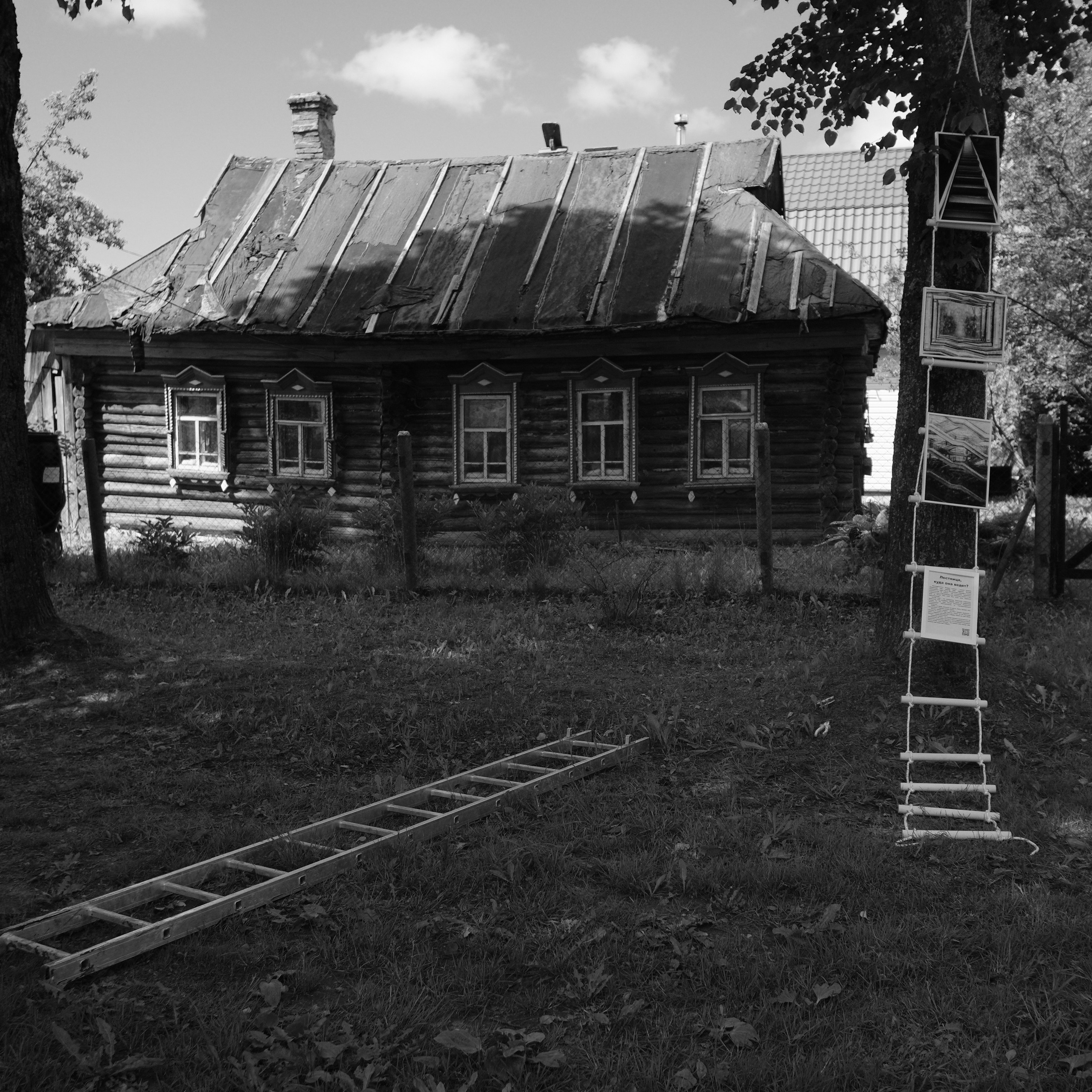 Лаборатория. Фотострелка