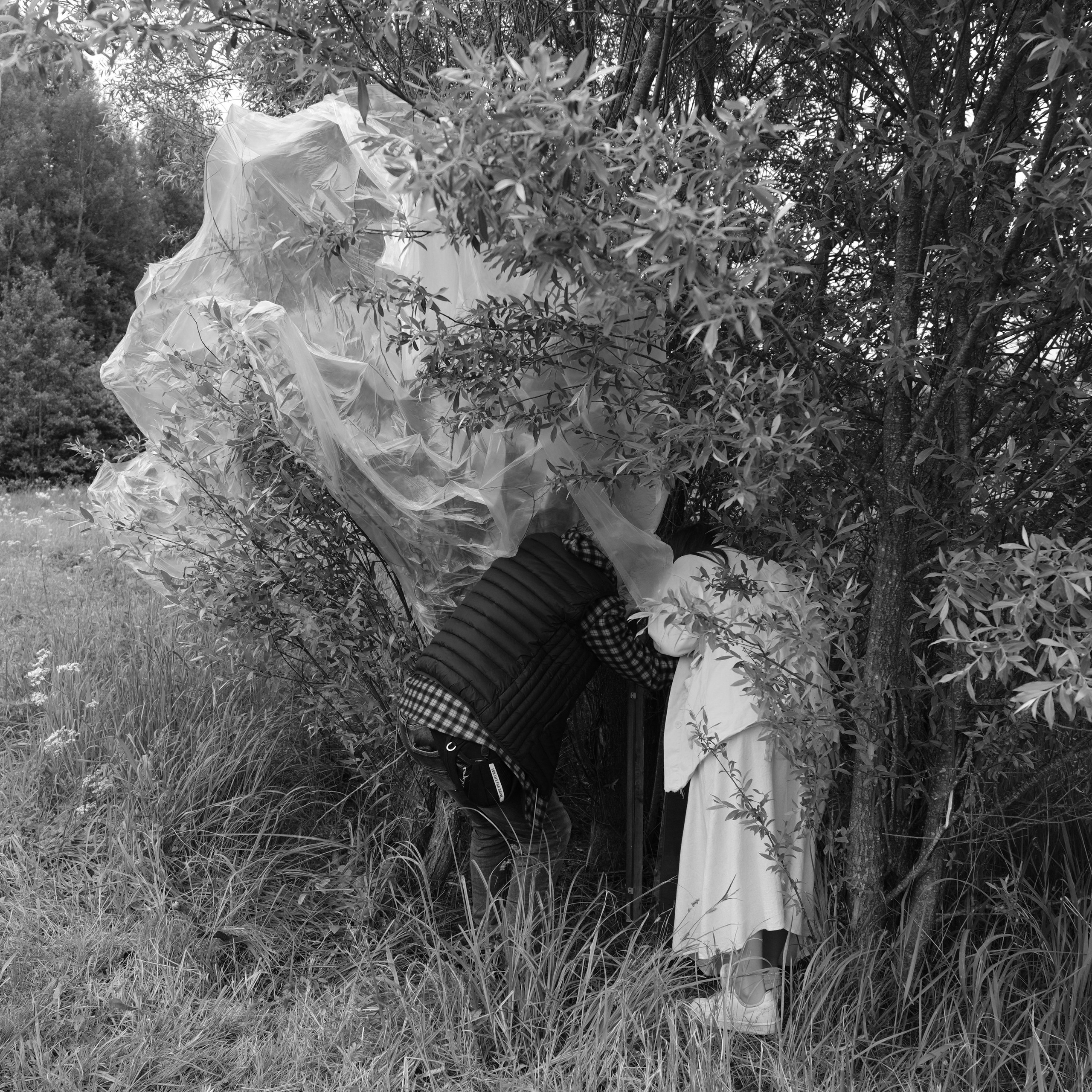 Лаборатория. Фотострелка