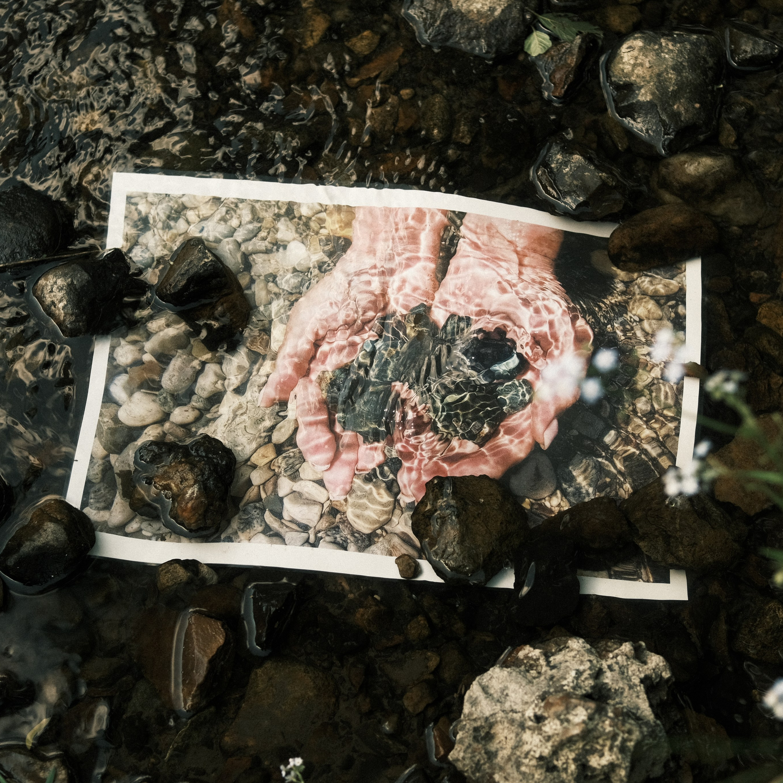 Лаборатория. Фотострелка