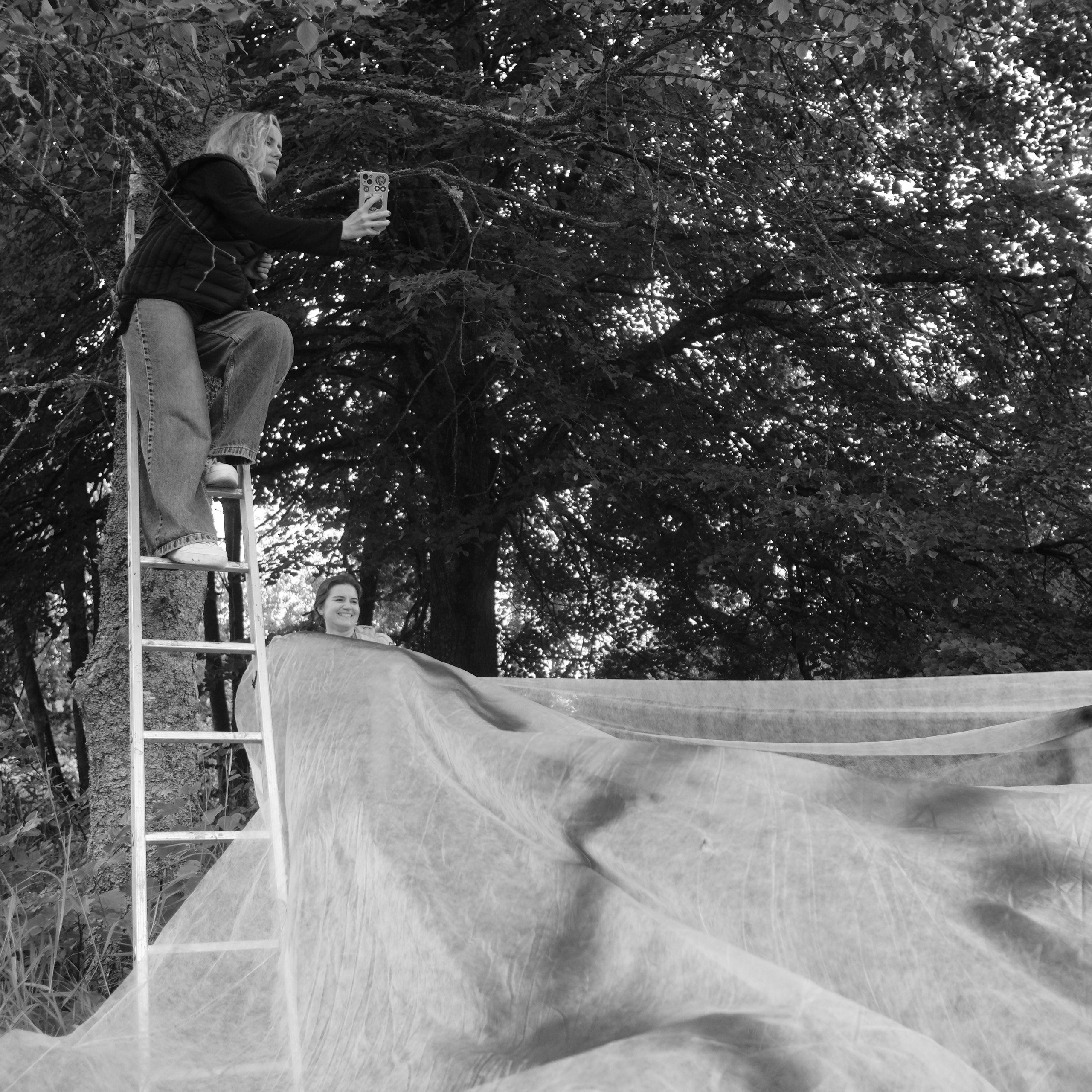 Лаборатория. Фотострелка