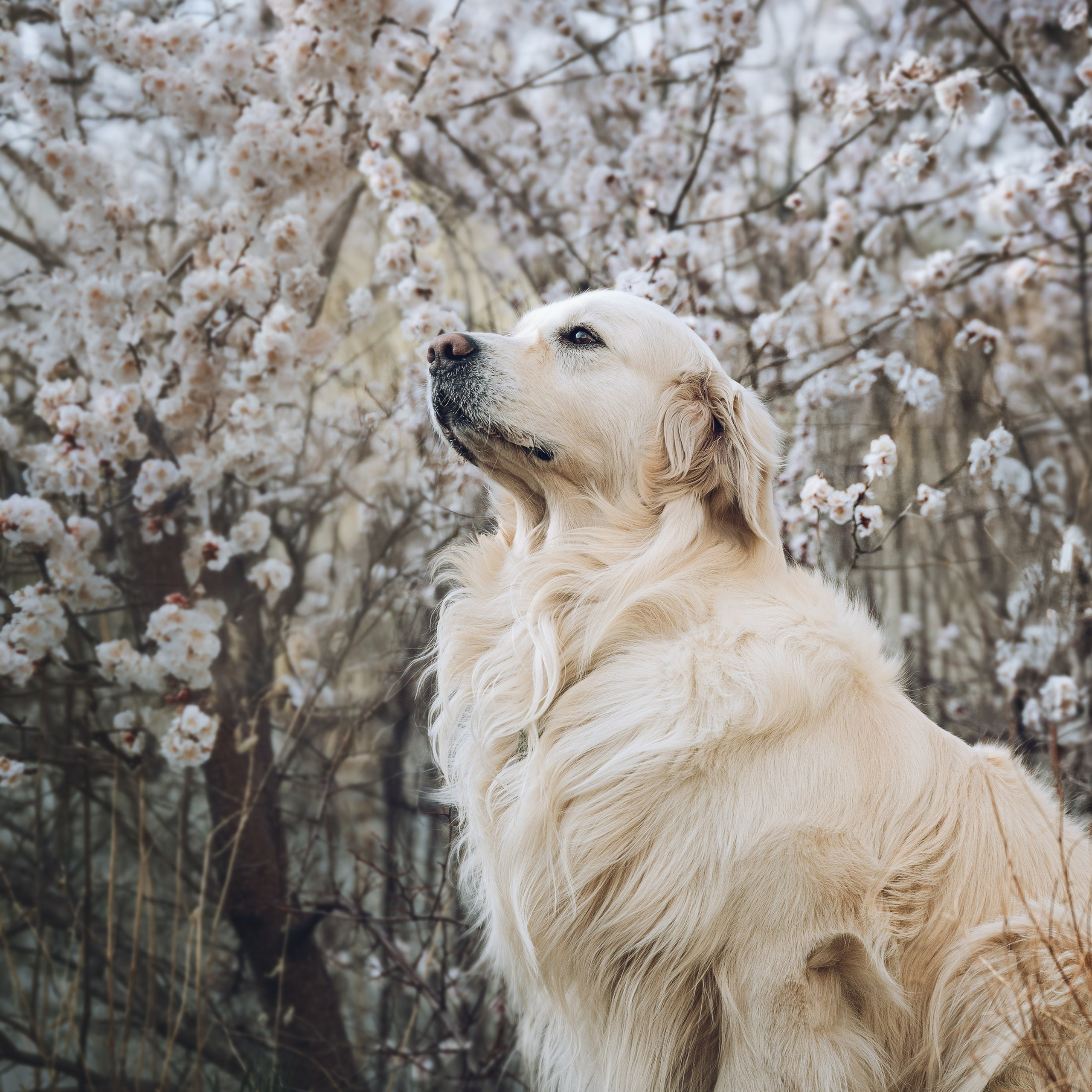 Отзывы фотограф иркутск. Сайт фотографа Елены Коноваловой Иркутск