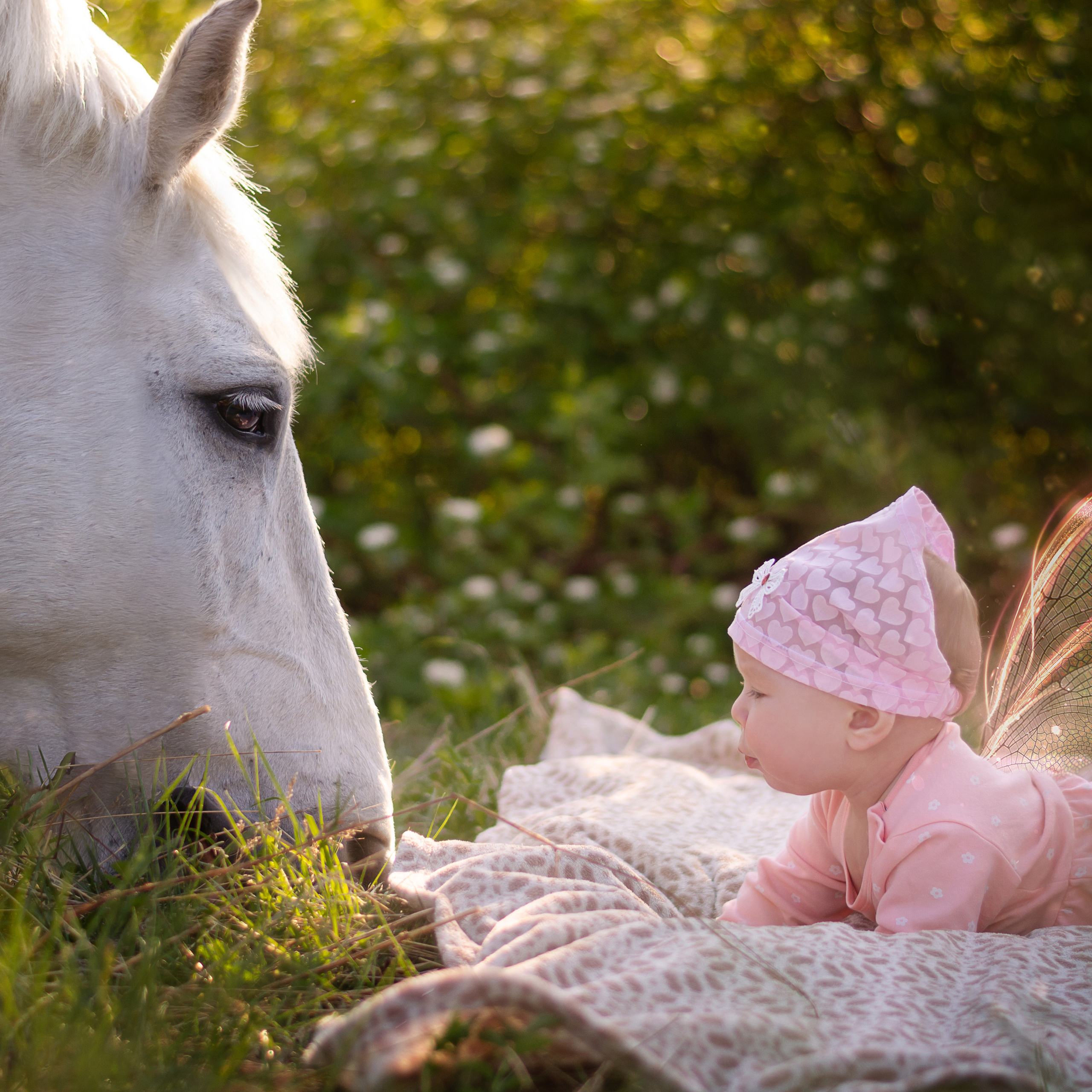 Отзывы фотограф иркутск. Сайт фотографа Елены Коноваловой Иркутск