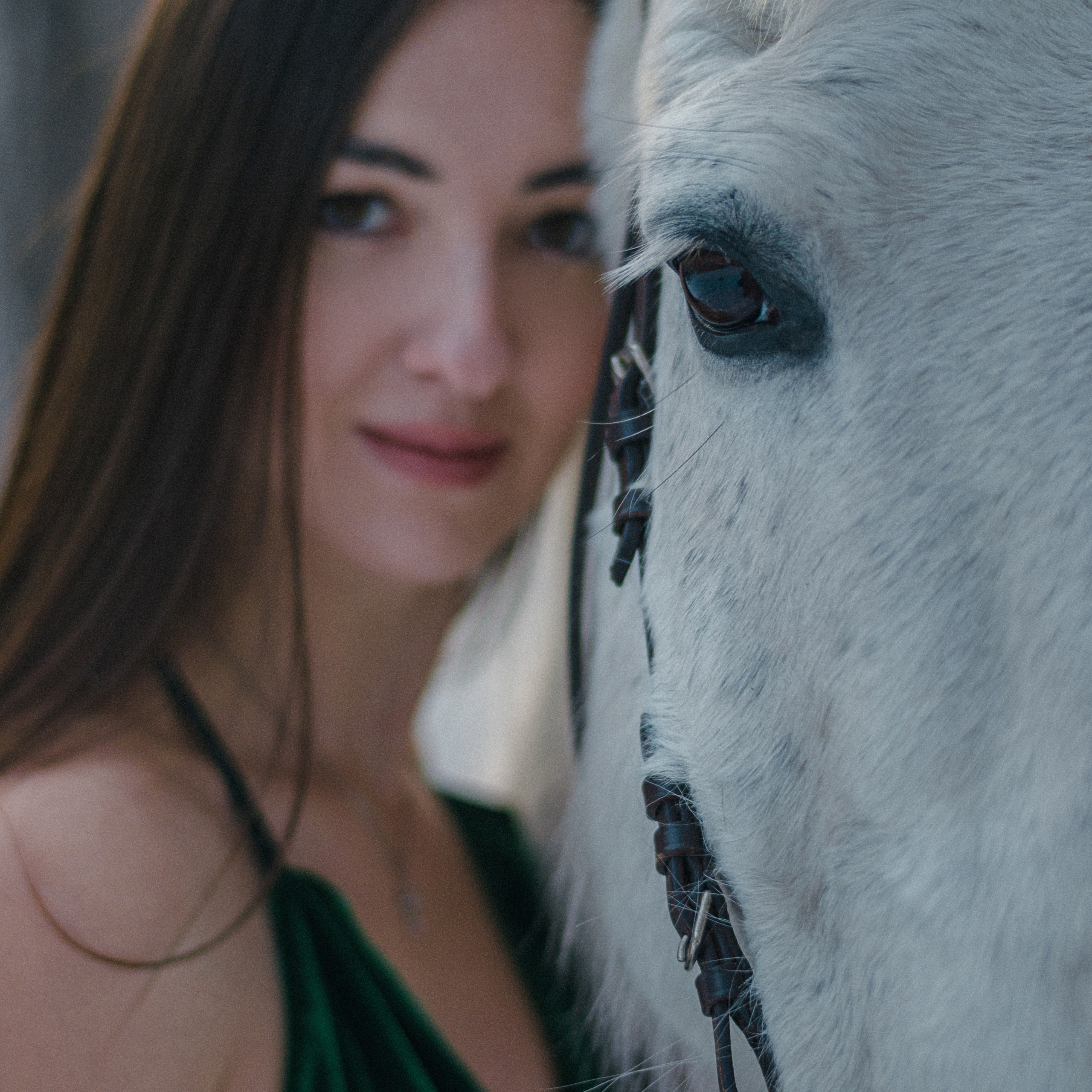 Отзывы фотограф иркутск. Сайт фотографа Елены Коноваловой Иркутск