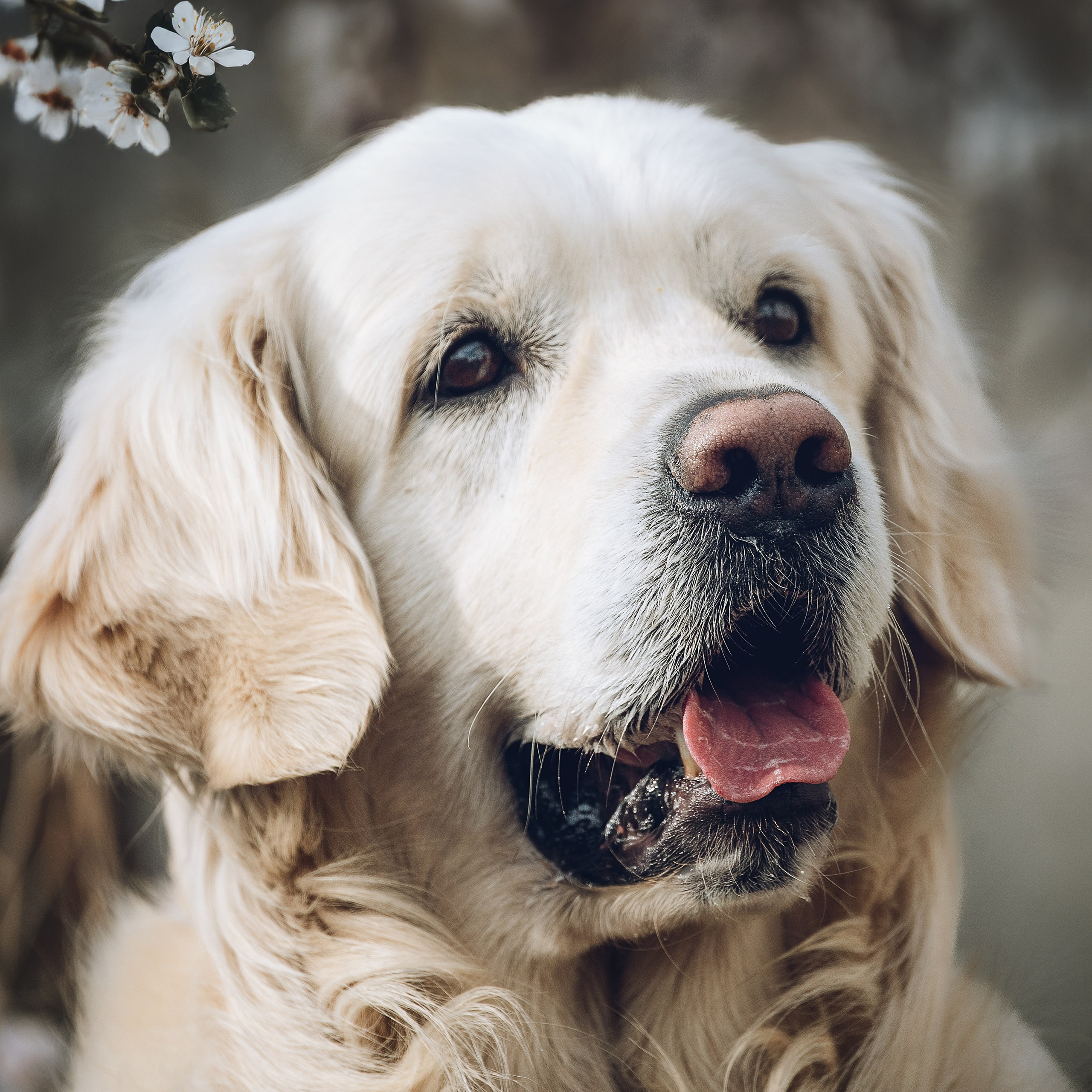 Отзывы фотограф иркутск