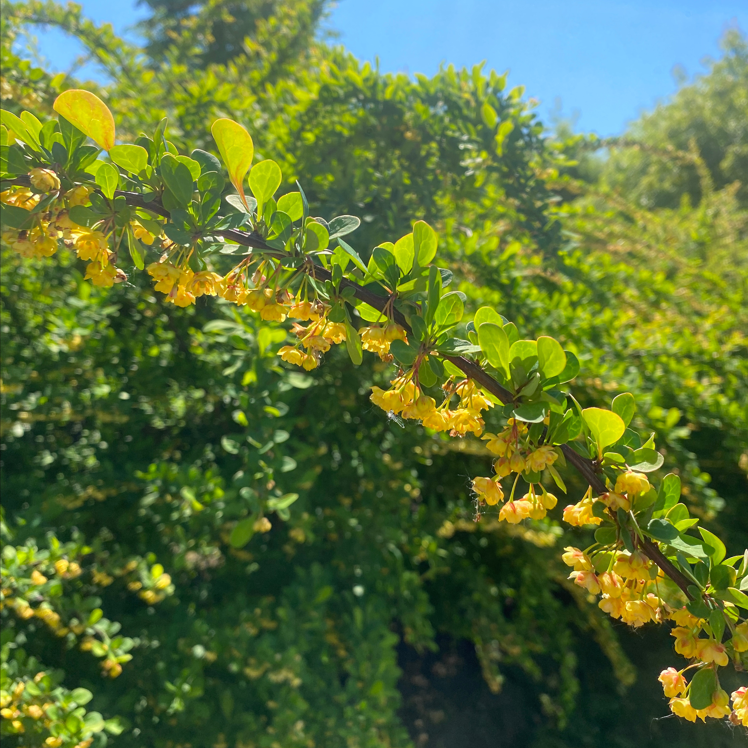 Отзывы. Ольга Брайт Семейный и Контент Фотограф в Санкт-Петербурге