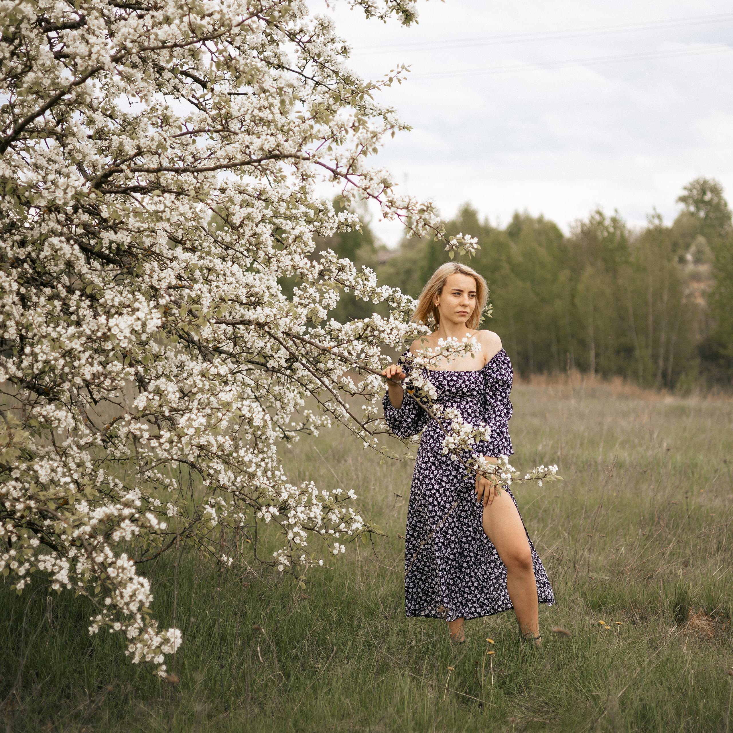 Отзывы. Свадебный и семейный фотограф Исаев Давид