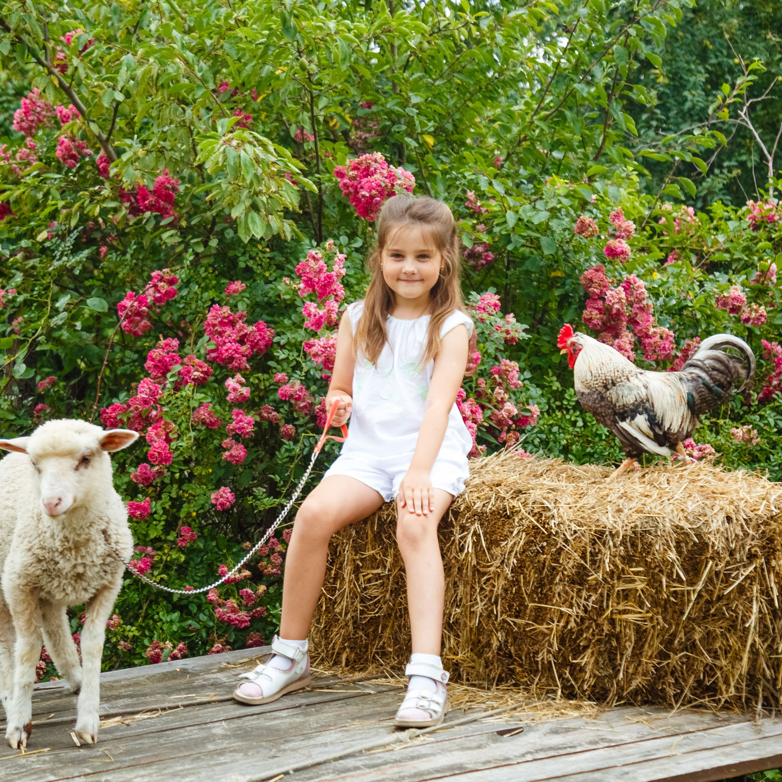 Отзывы. Свадебный, семейный и детский фотограф в Калининграде Елена Кравцова