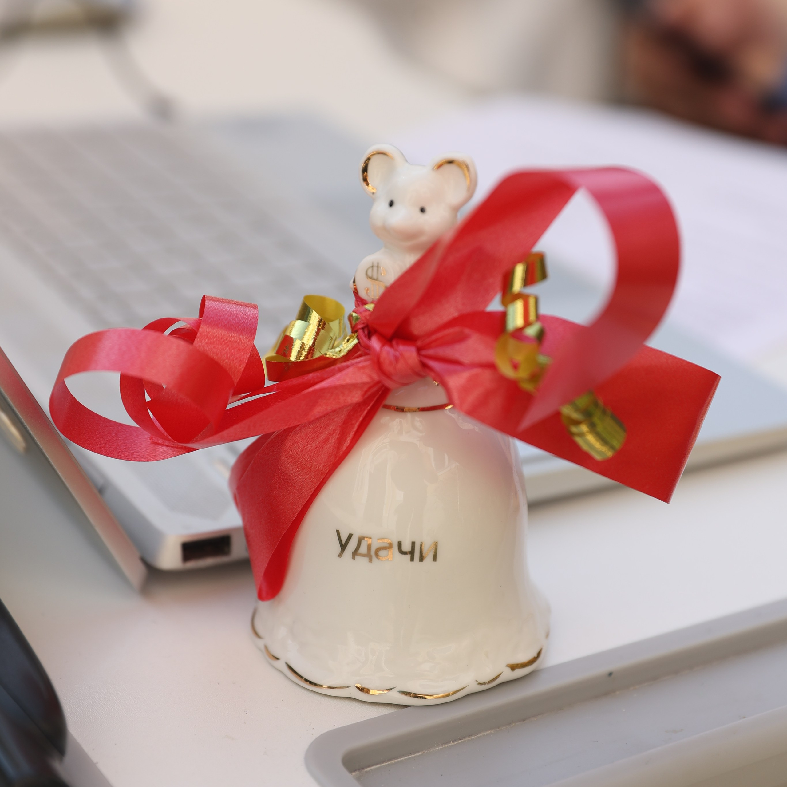 Отзывы. Свадебный, семейный и детский фотограф в Калининграде Елена Кравцова