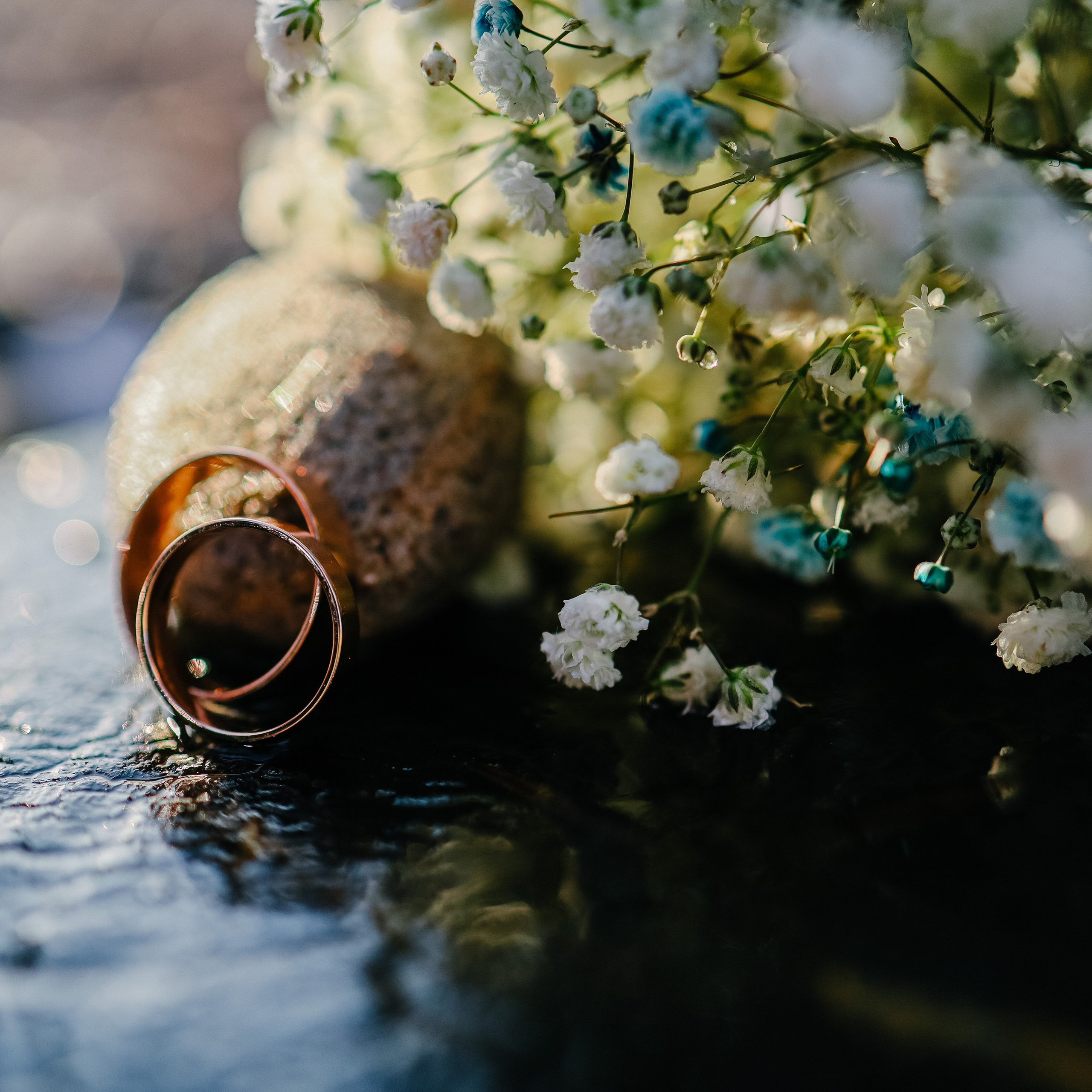 Отзывы. Свадебный, семейный и детский фотограф в Калининграде Елена Кравцова
