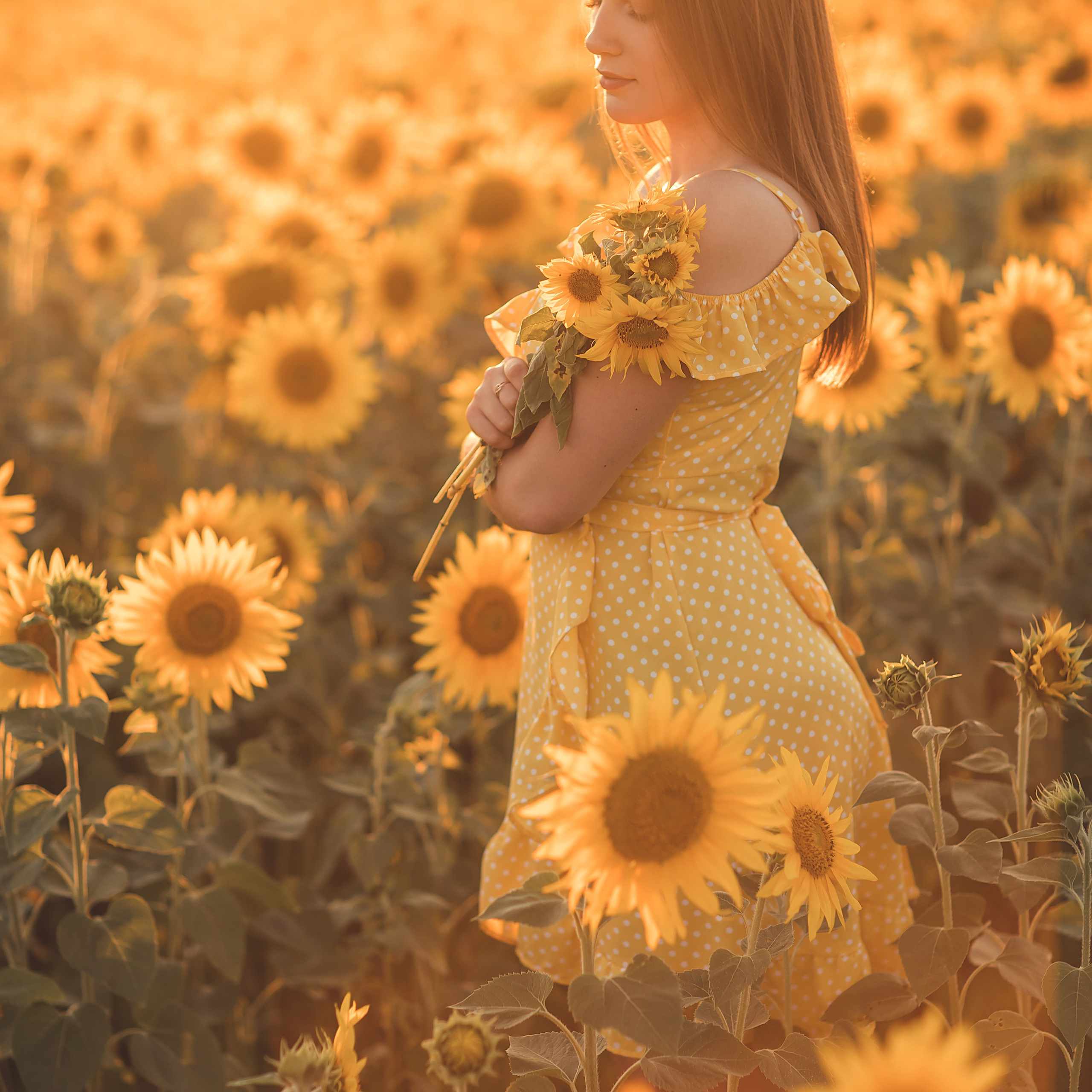 Подсолнухи