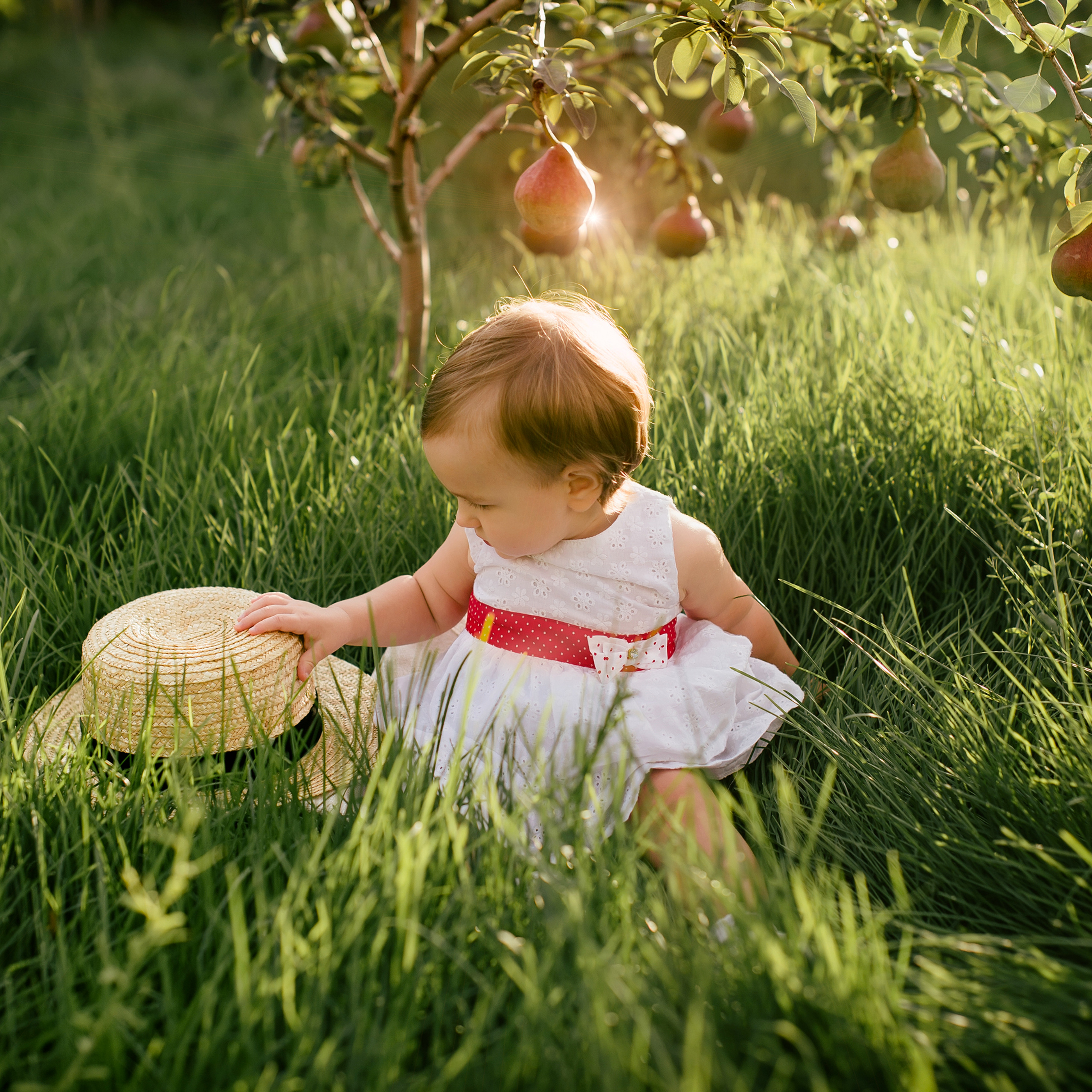 Полина и волшебные груши