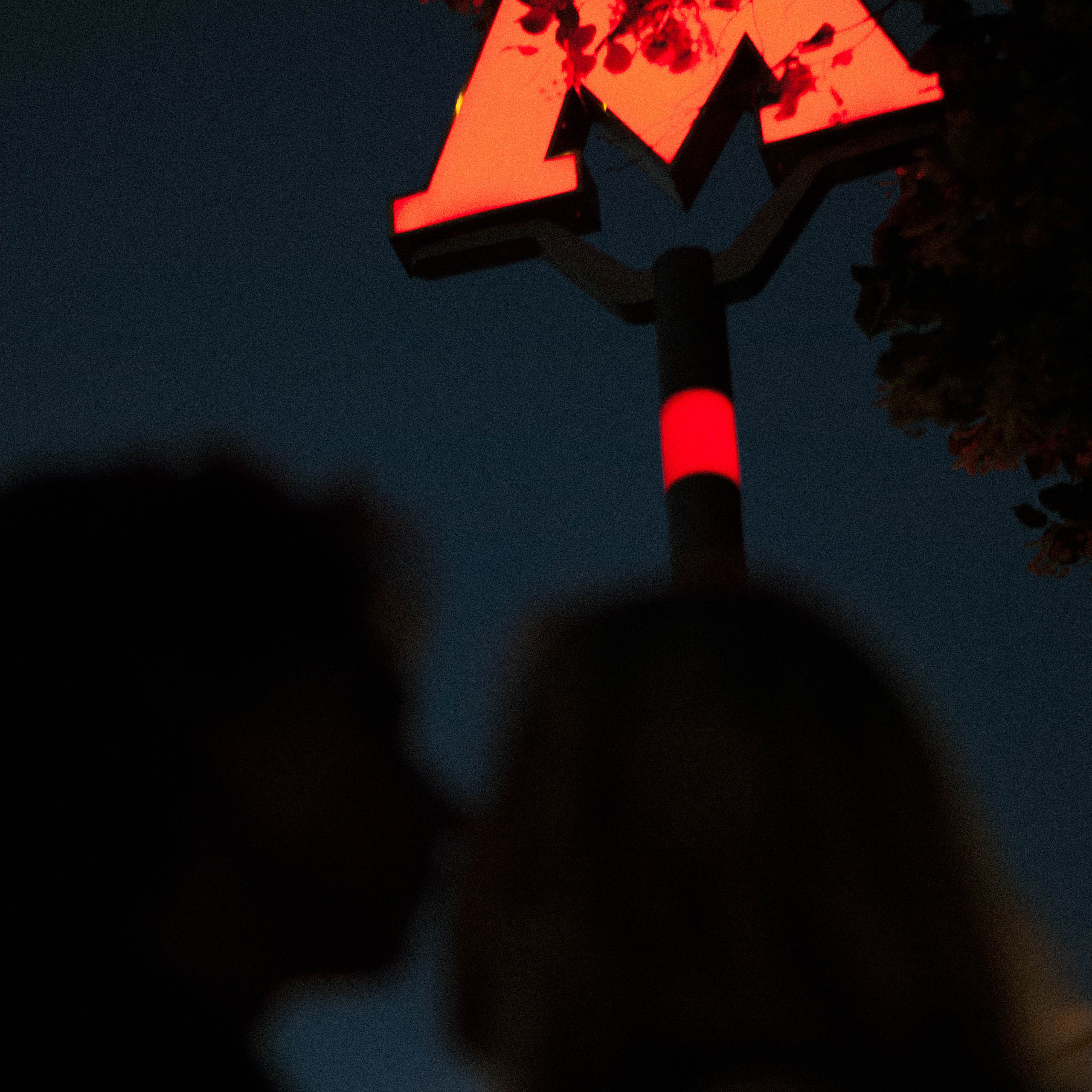 Идеальная любовь