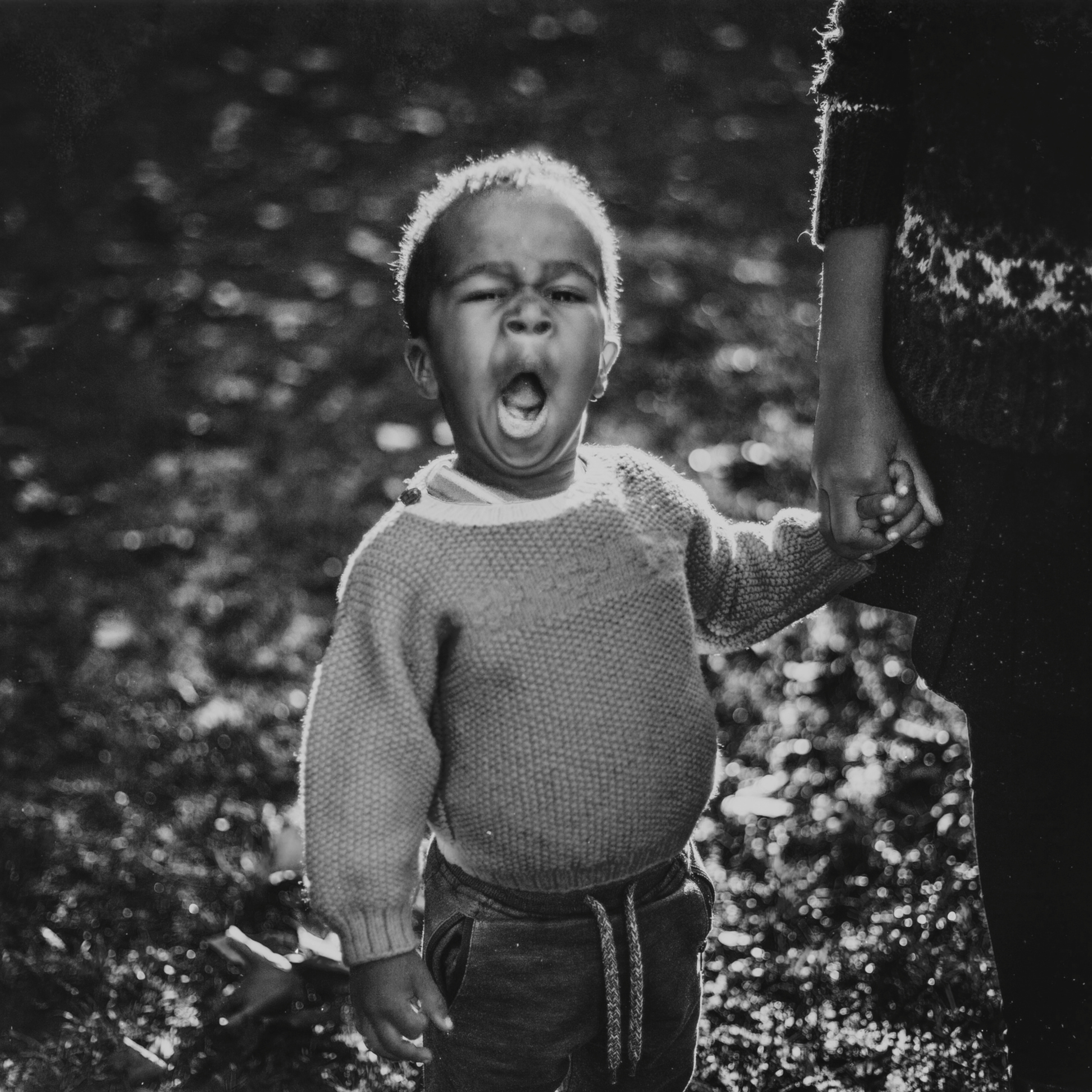 Сиф и другие. Детский, свадебный и семейный фотограф Юлия Курбатова, Санкт-Петербург