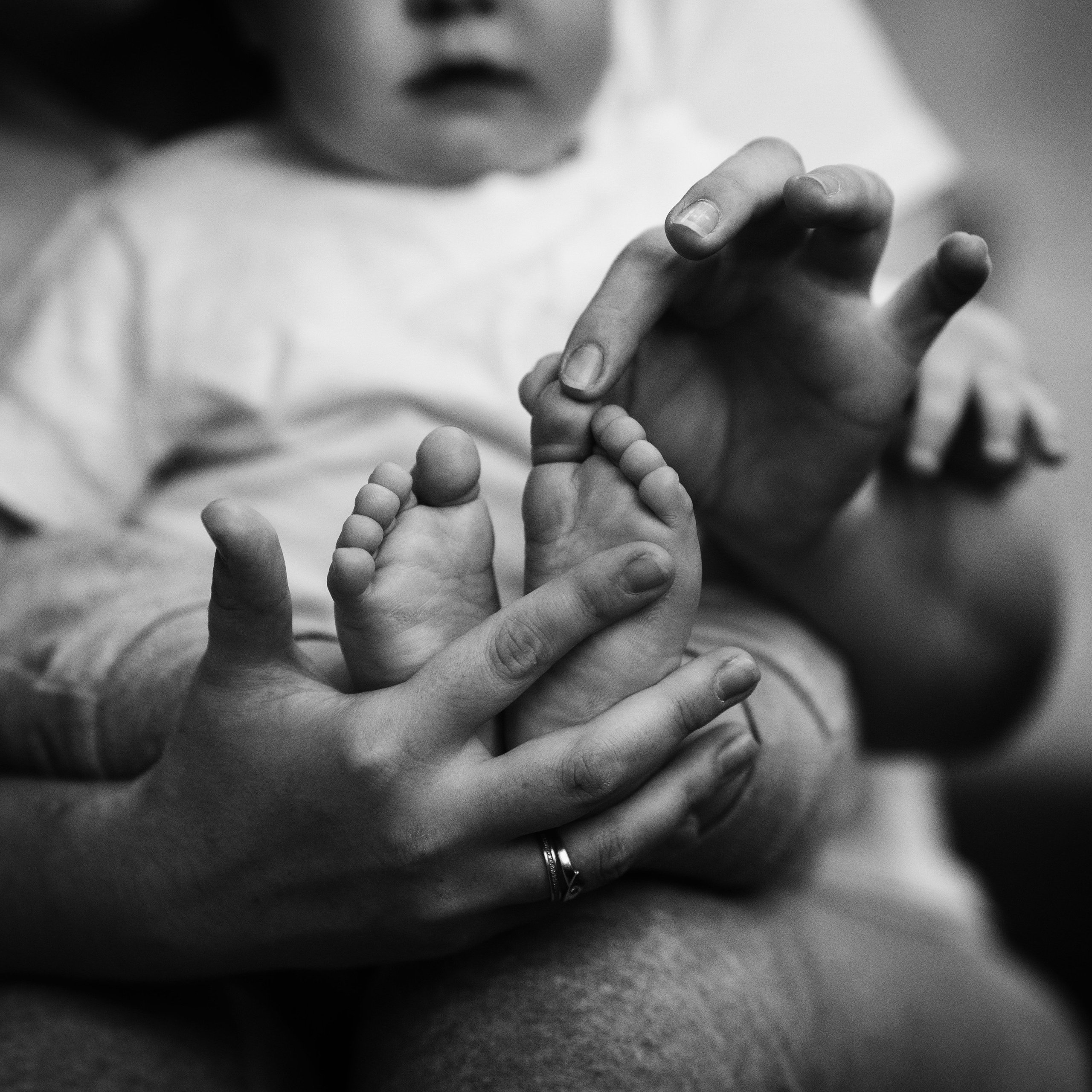 Домашнее годовасие