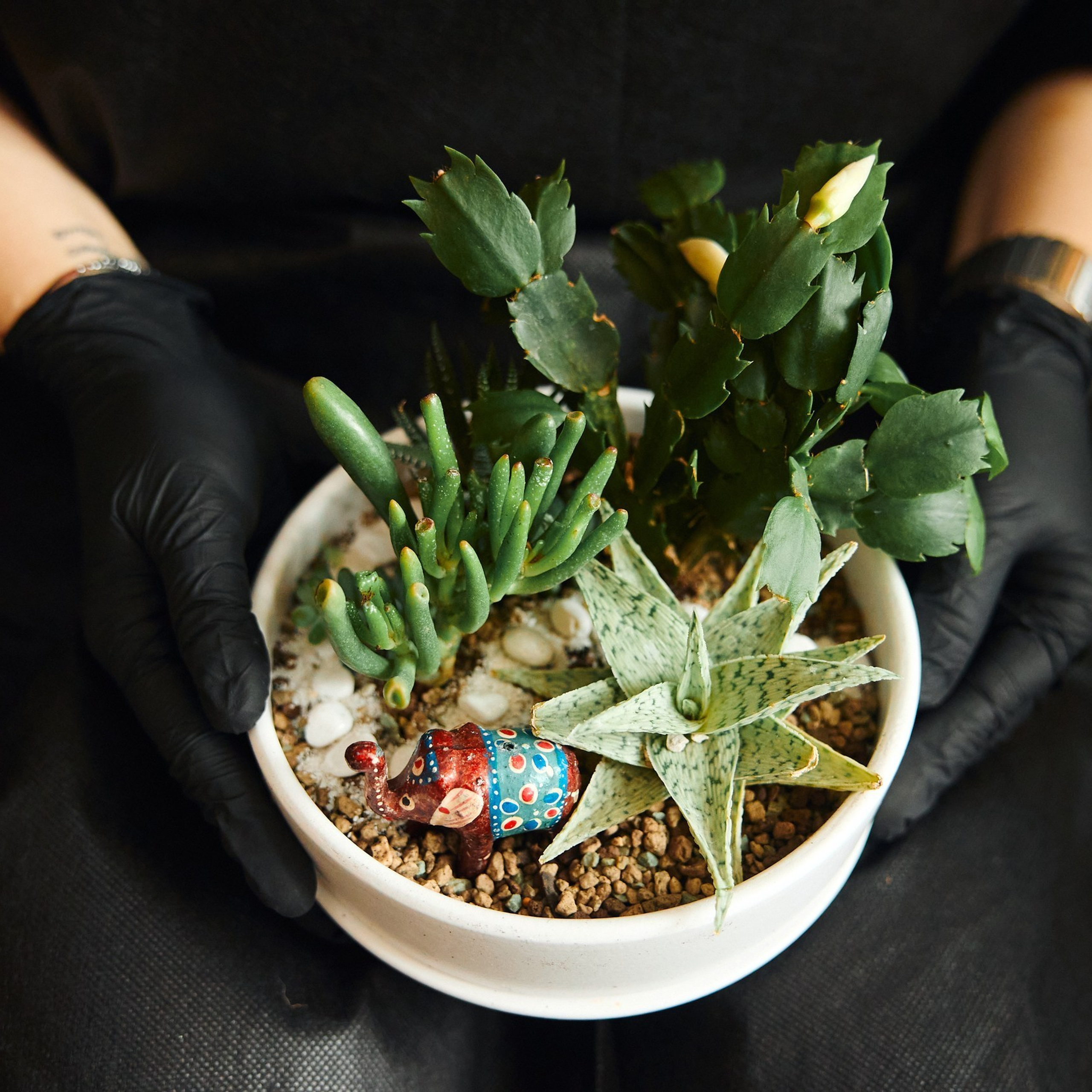 Отзывы. Иван Март Свадебный и портретный фотограф Тюмень