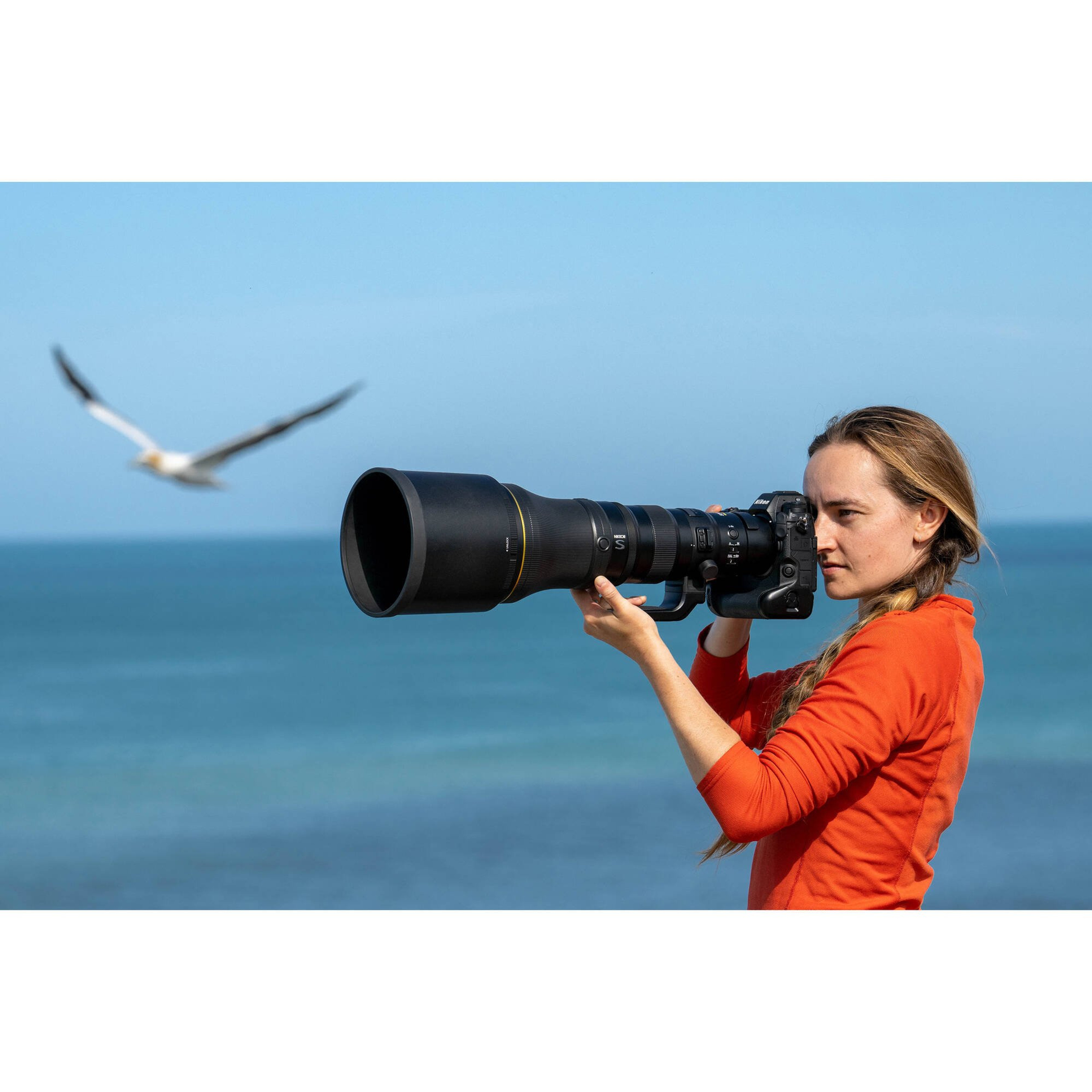 Вышел Nikon Nikkor Z 800 mm 1:6.3 S VR PF. Бизнес, мужской фотограф в Краснодаре | Аксёнов Алексей Владимирович