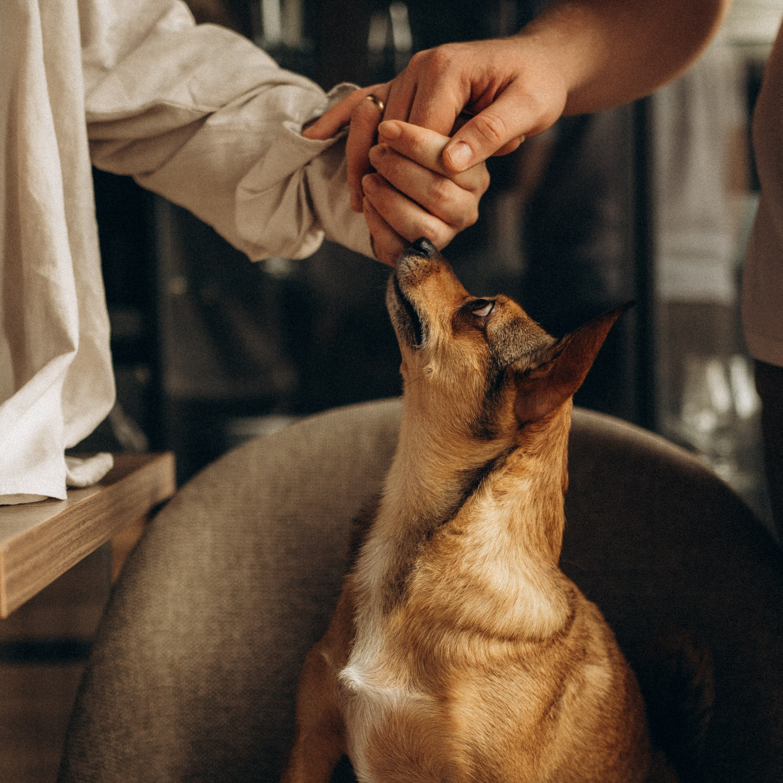 Алена, Антон и Гая