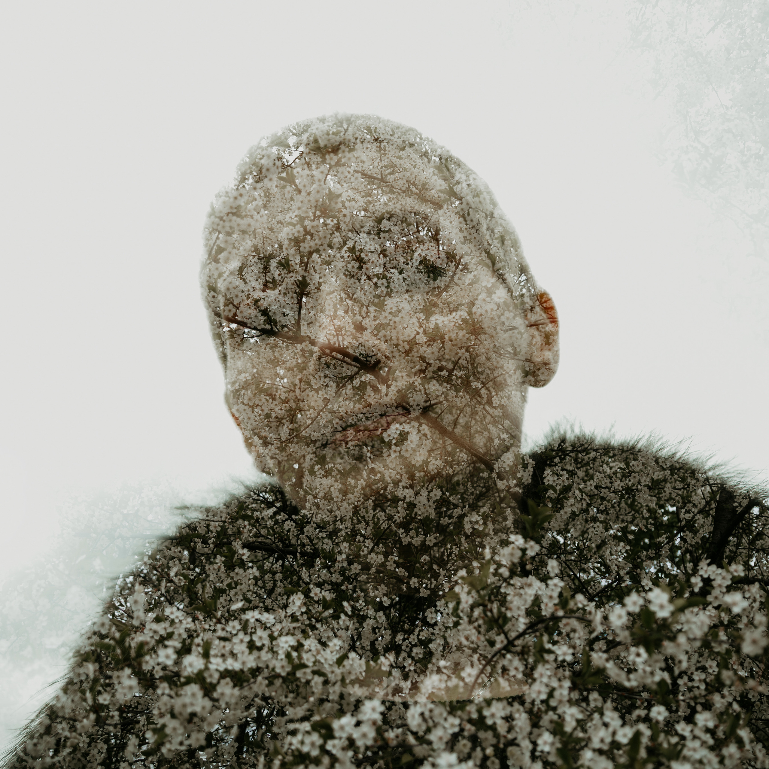 Фотовстреча в Коломенском