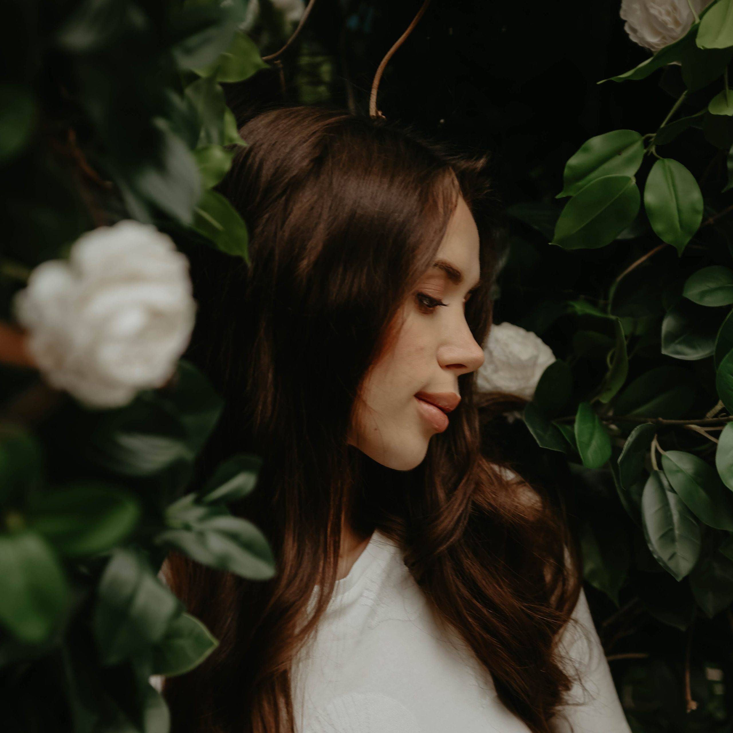 Projeckt X. Теплица